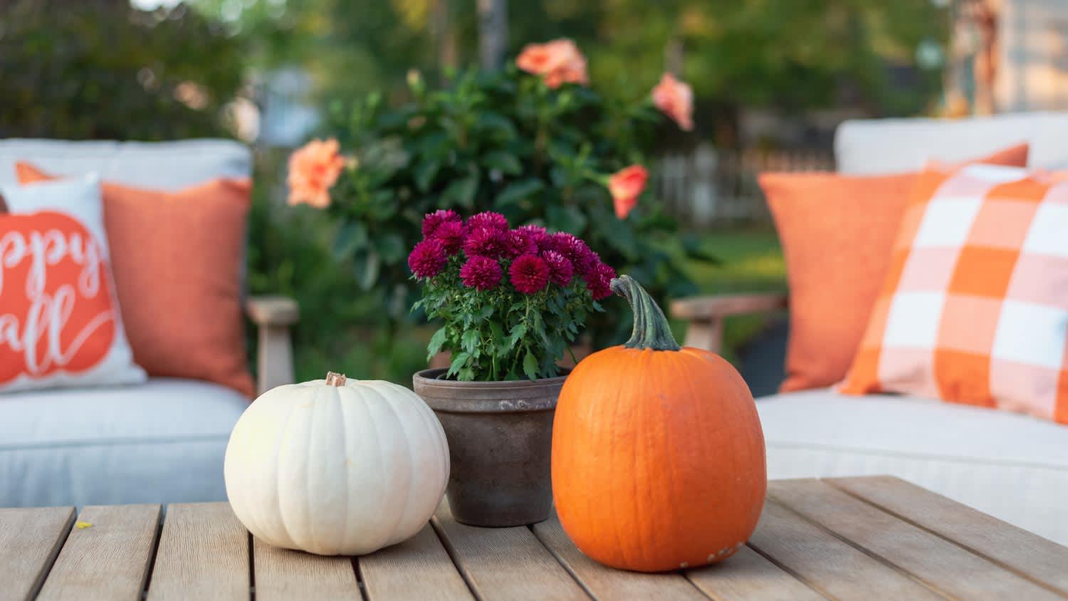 Backyard seating area in fall