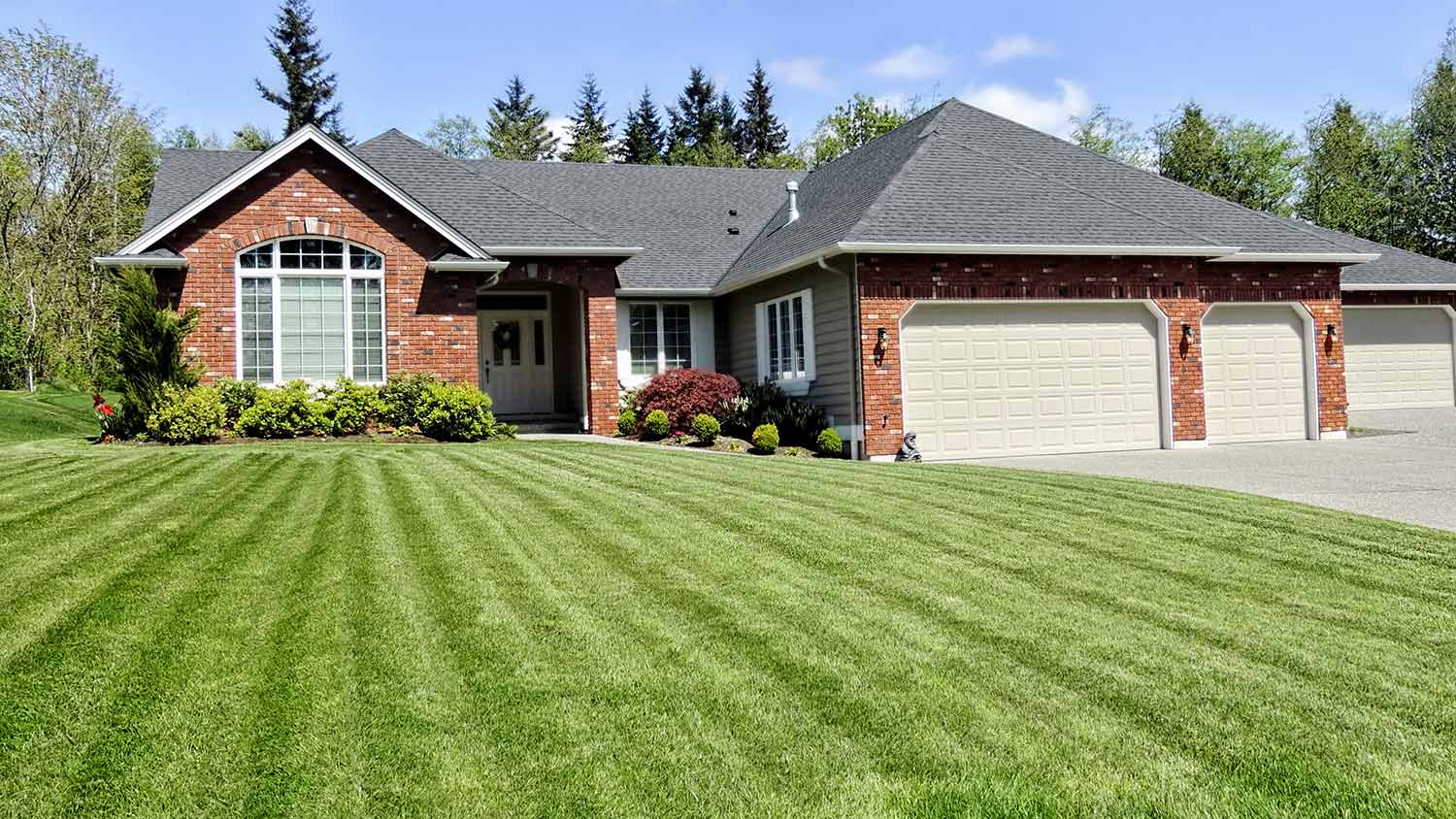 Newly mowed yard