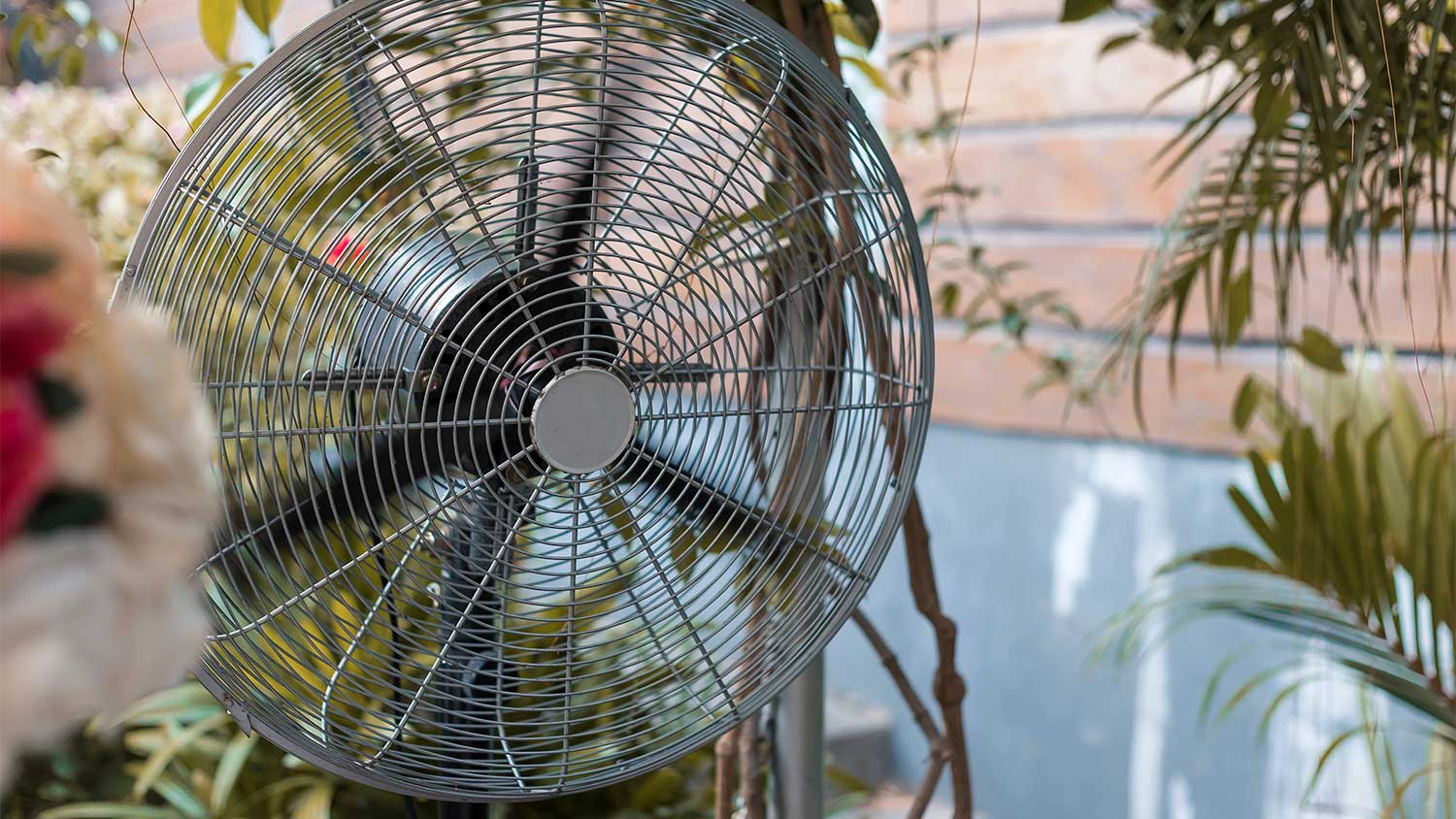A view of a fan outdoors