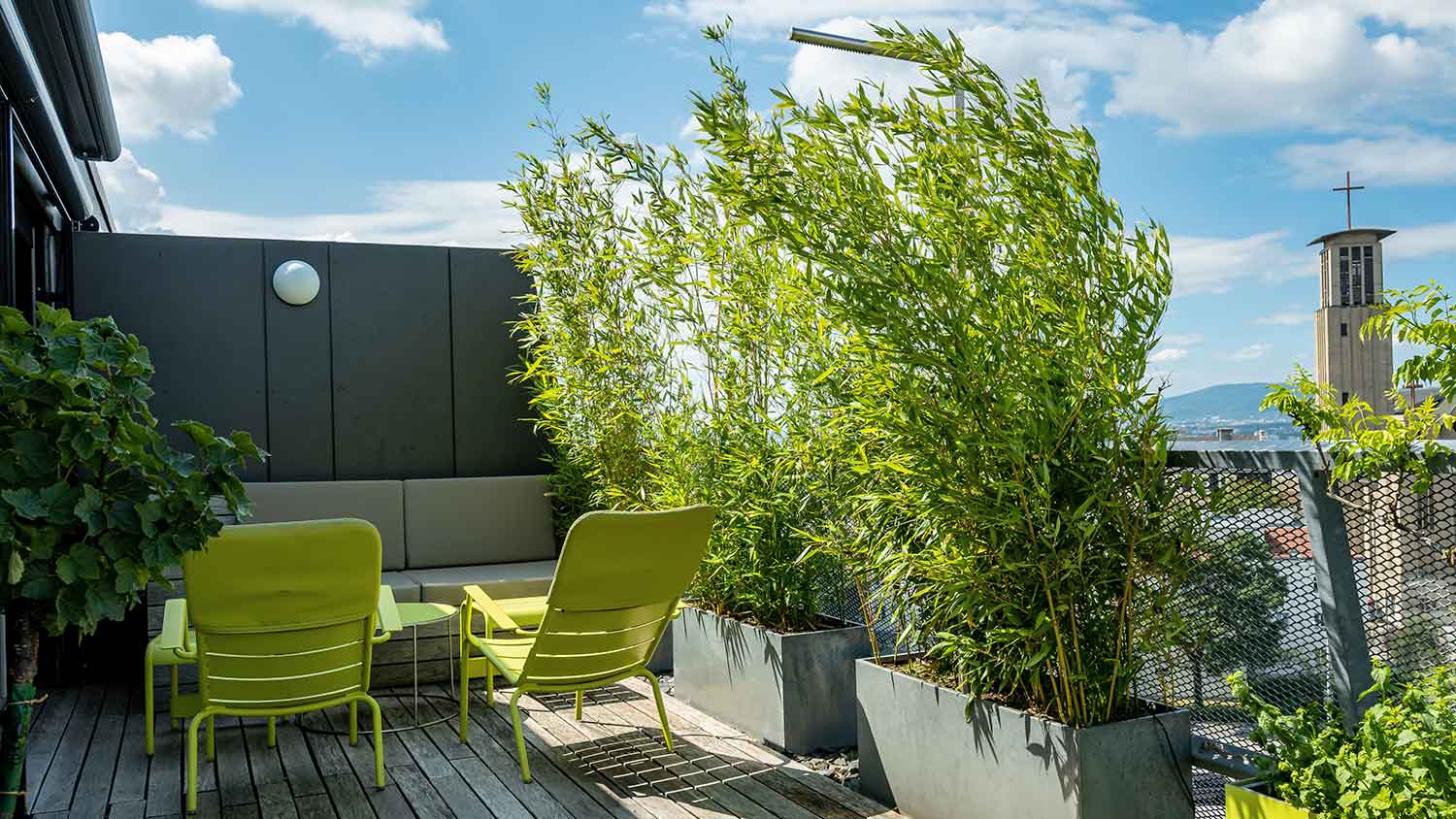 Modern terrace with bamboo plants and outdoor furniture