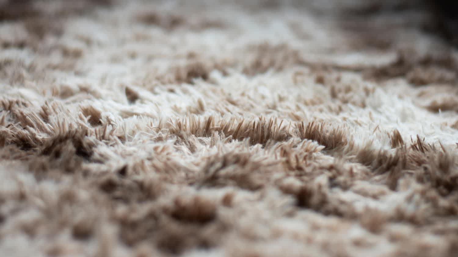 Close-up of a fluffy shag rug