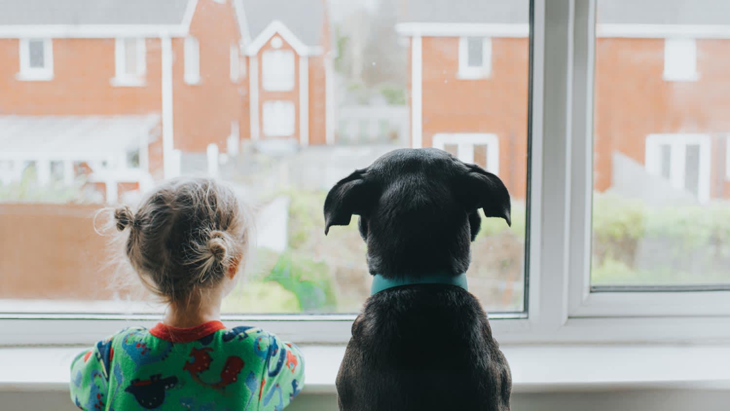 A girl and a dog looking out a window