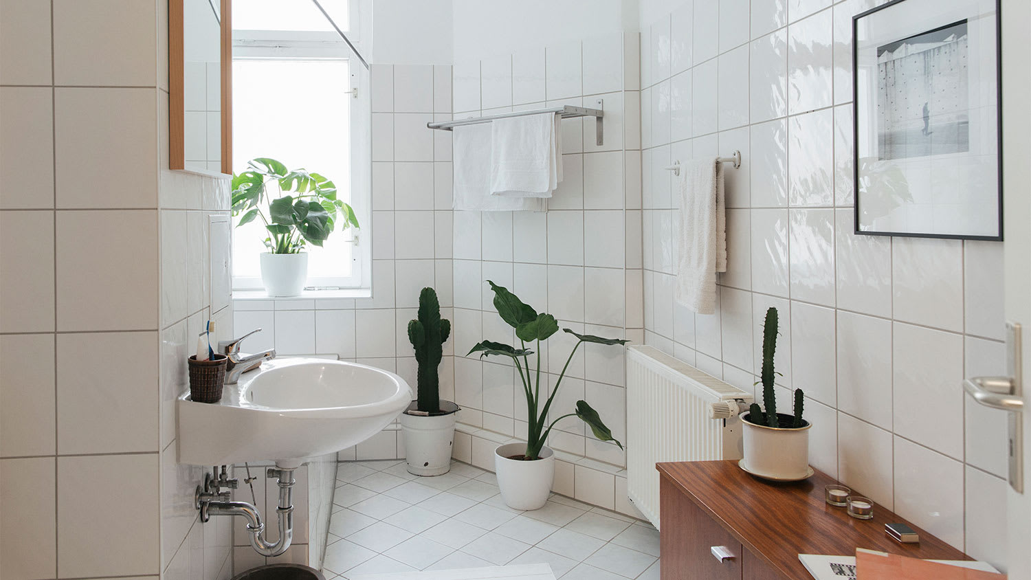 A view of a white tiled bathroom with plants