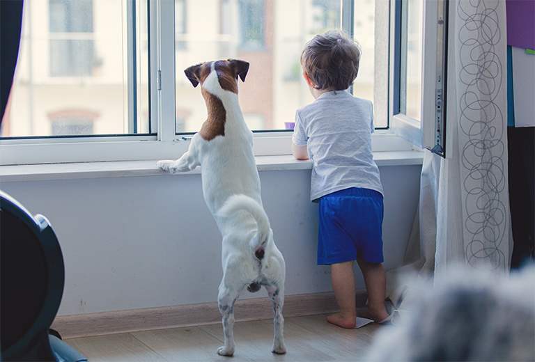 Boy and dog standing in front of window