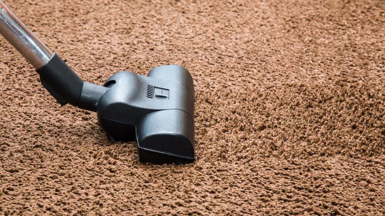 A vacuum cleaning a shag rug