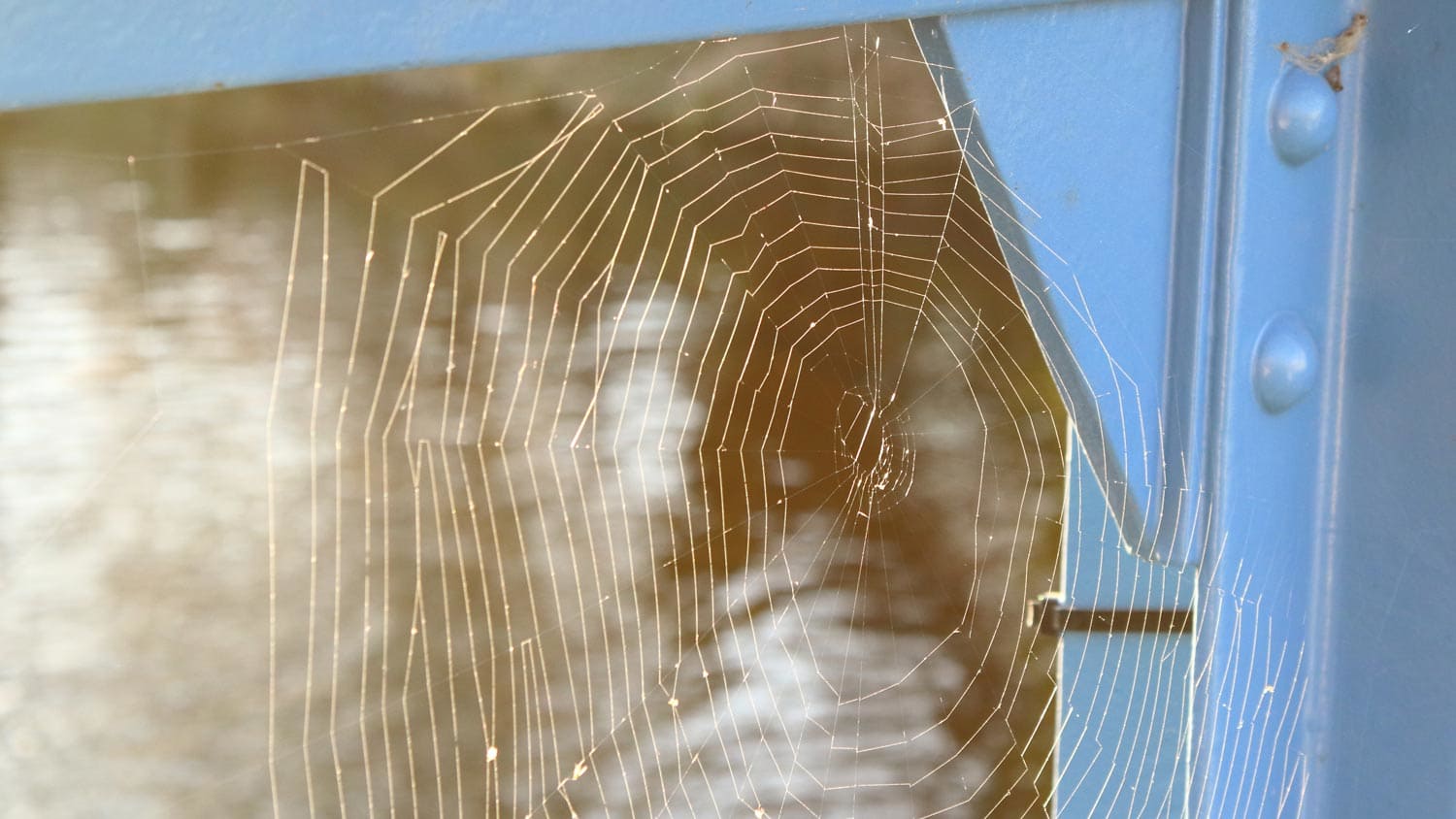 Close-up of a cobweb on a window’s corner