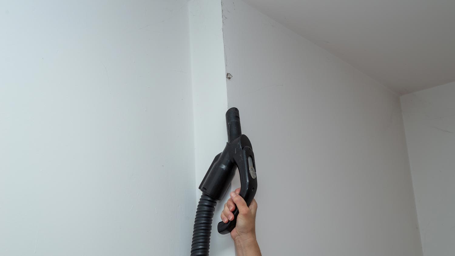 A hand vacuuming a cobweb off the ceiling