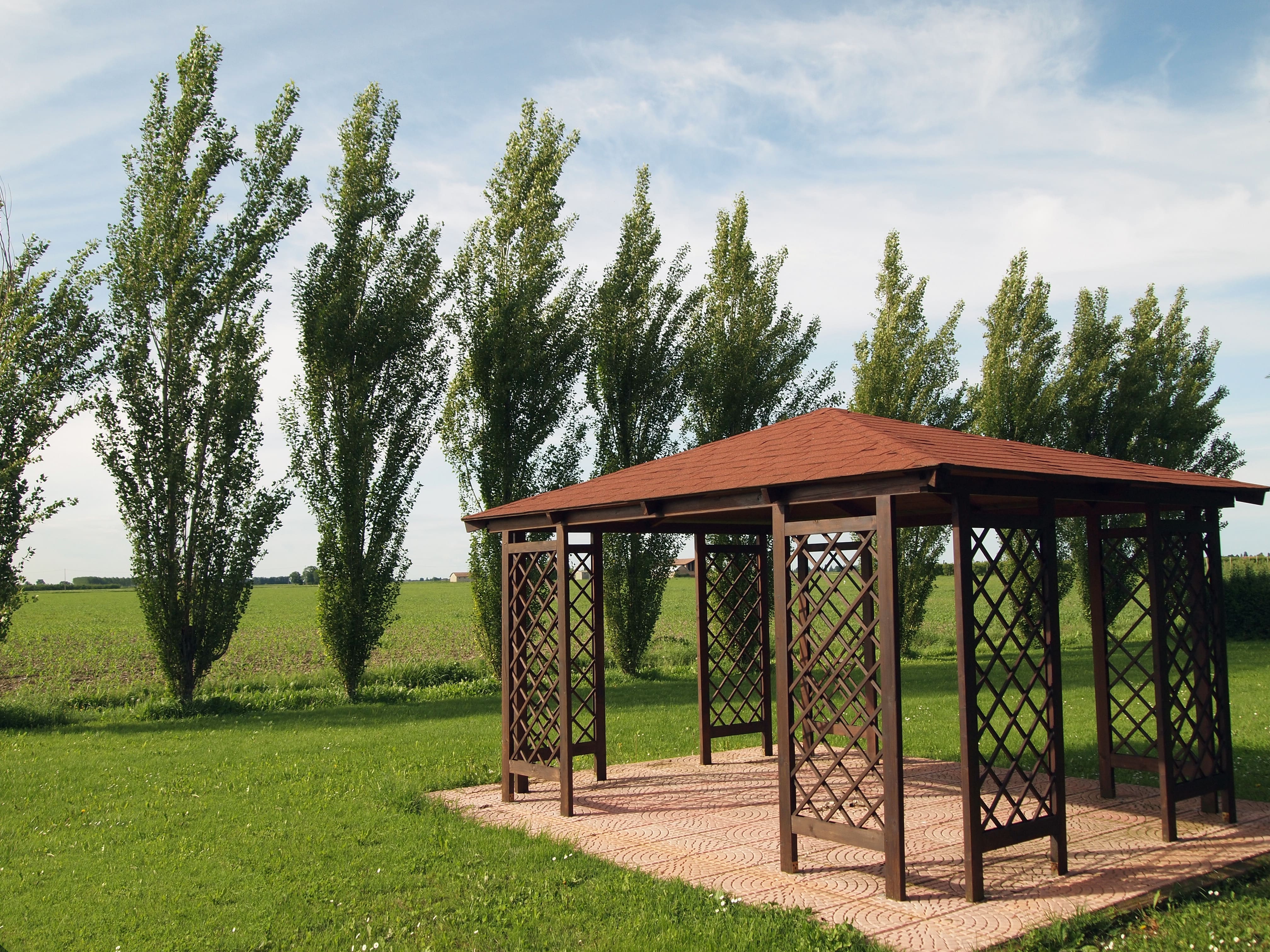 Gazebo in yard with hip roof