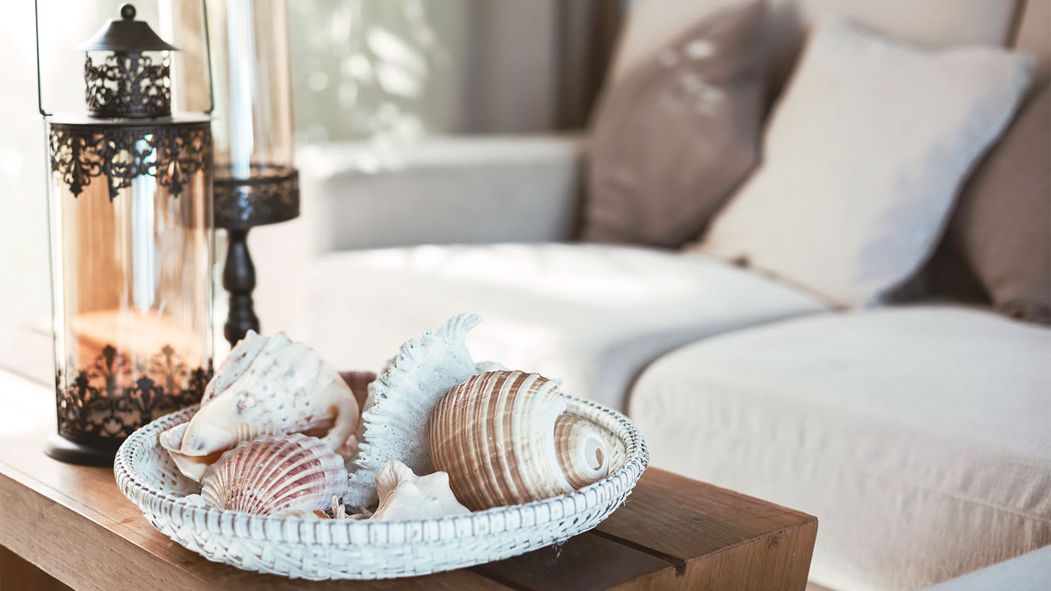 A view of a bowl of seashells in a room with coastal design