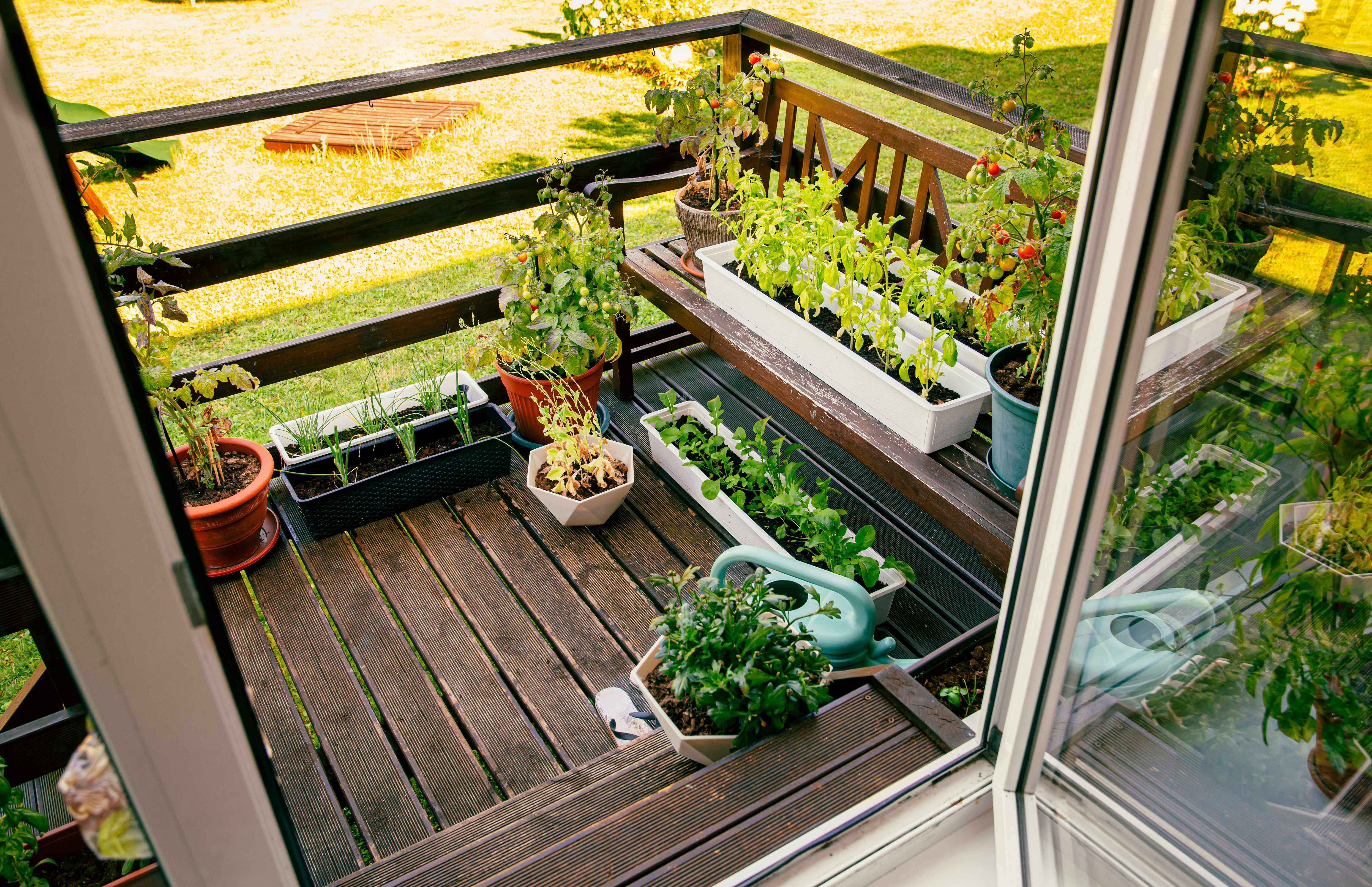 Container garden on small balcony