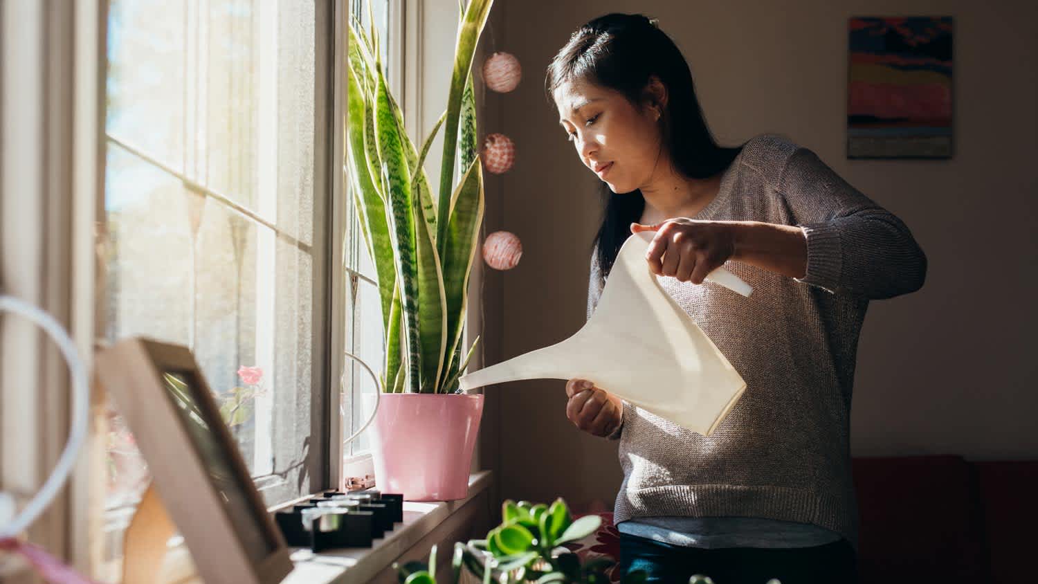 A woman watering a plant by the window