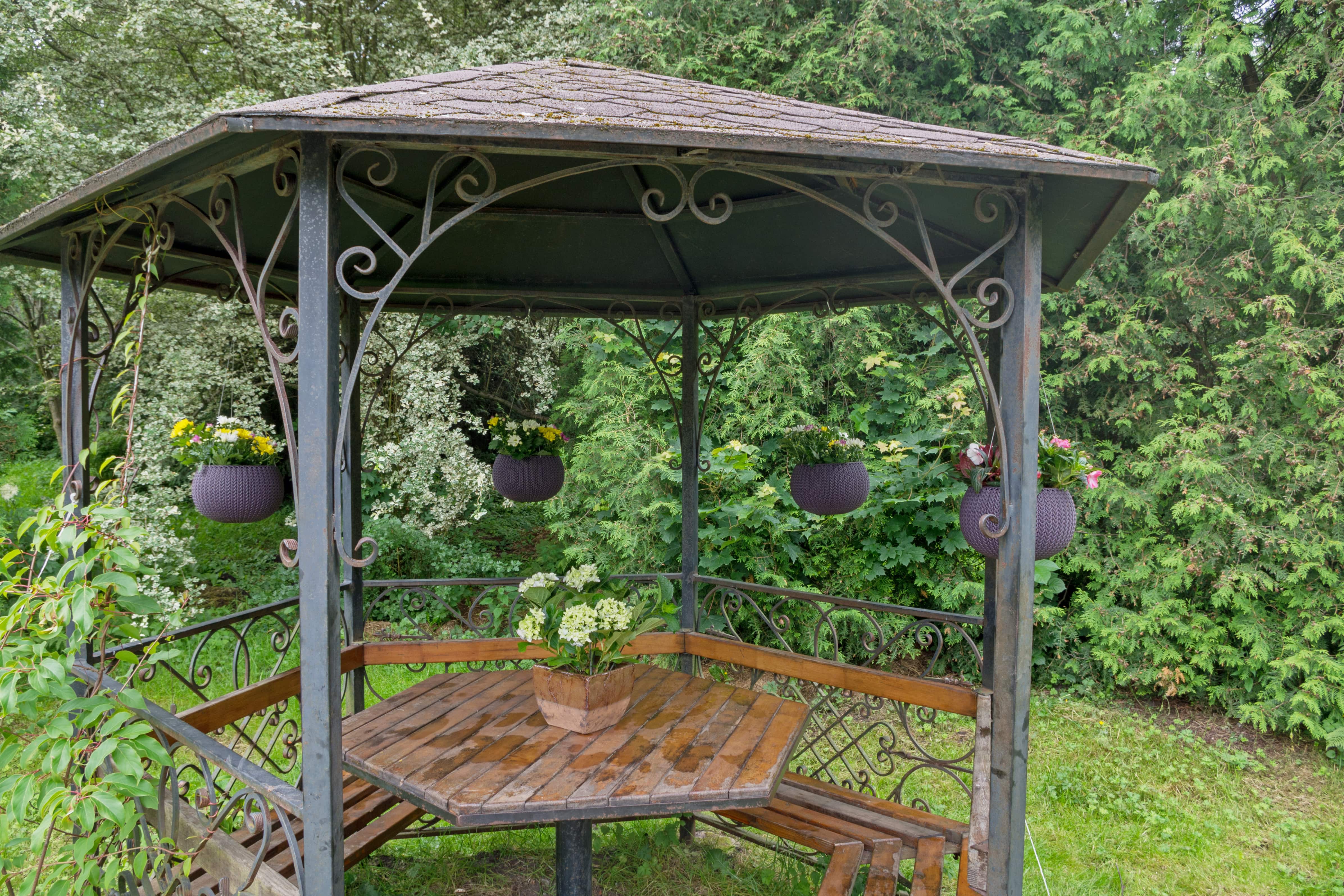 Gazebo with wicker hanging flower baskets