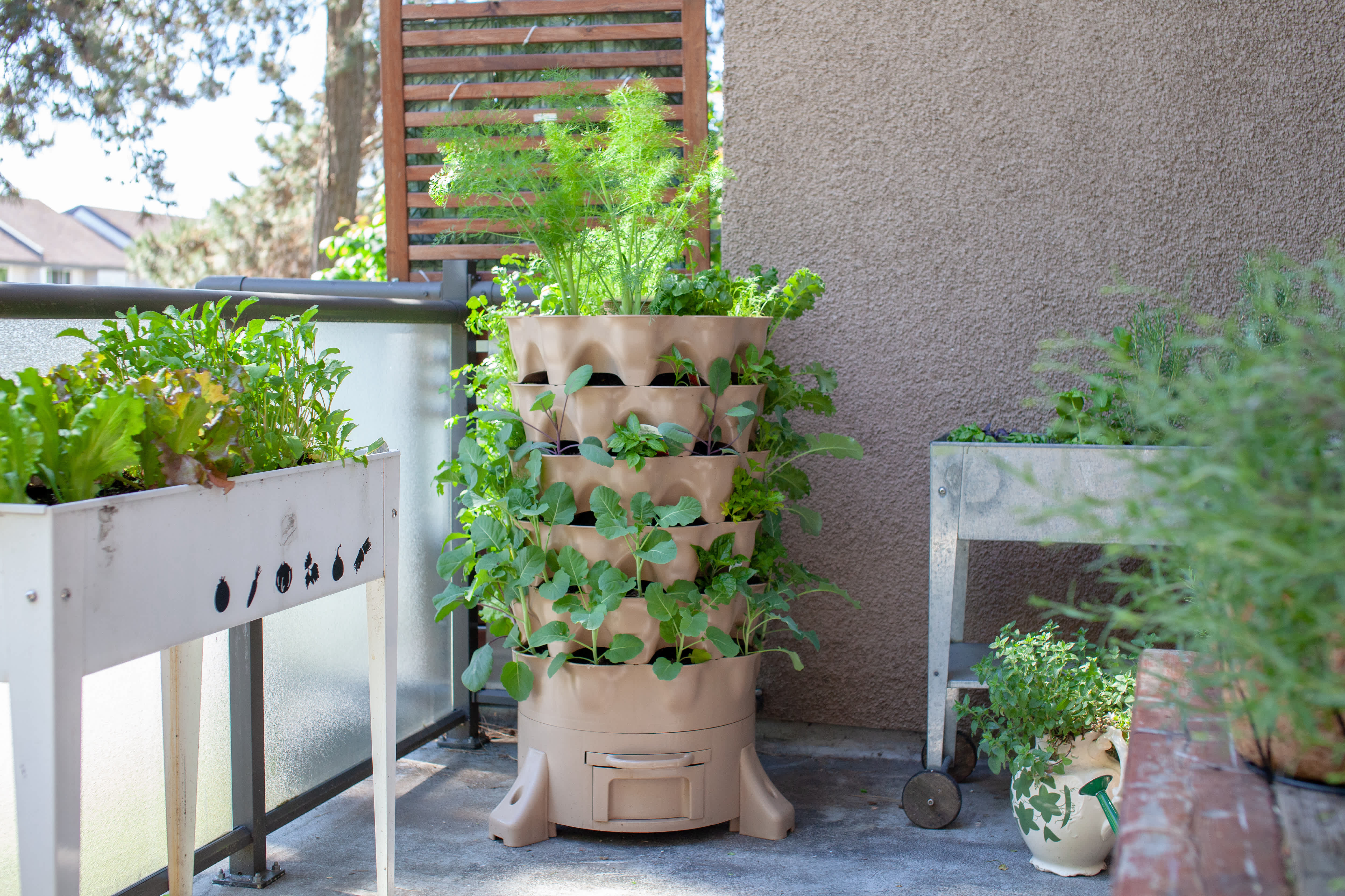 Hydroponic gardening system on apartment balcony