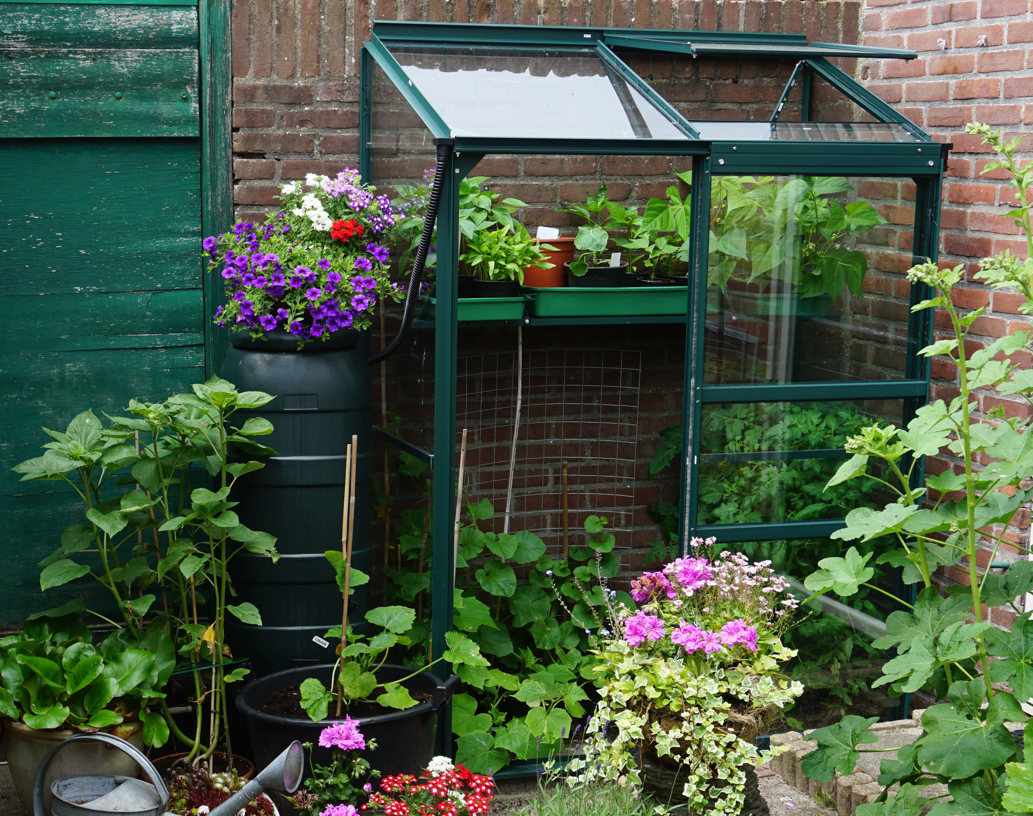 Small greenhouse on balcony