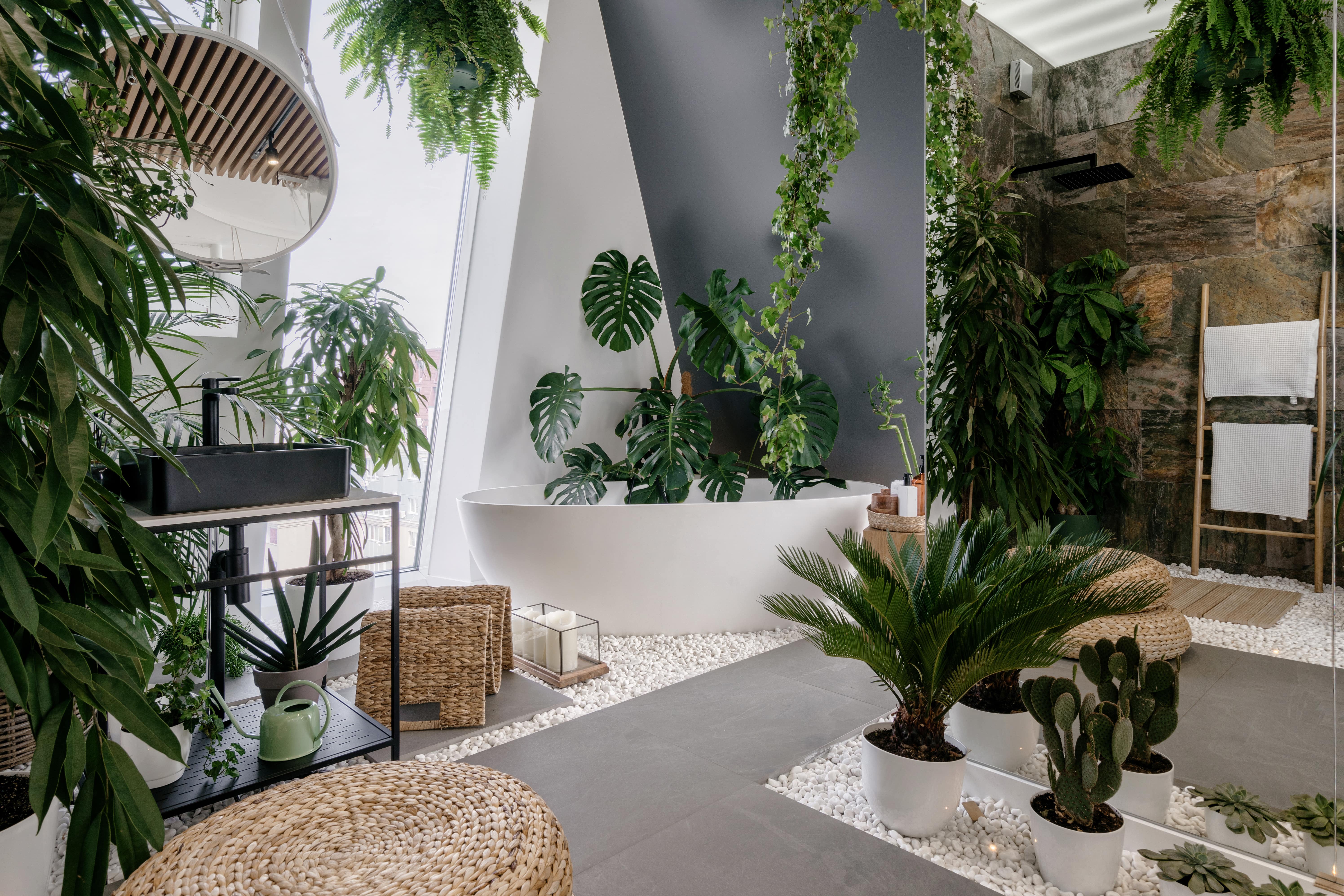 Houseplants in boho-styled bathroom