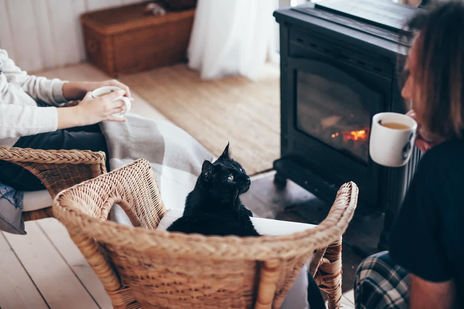 Cat and family by the fireplace