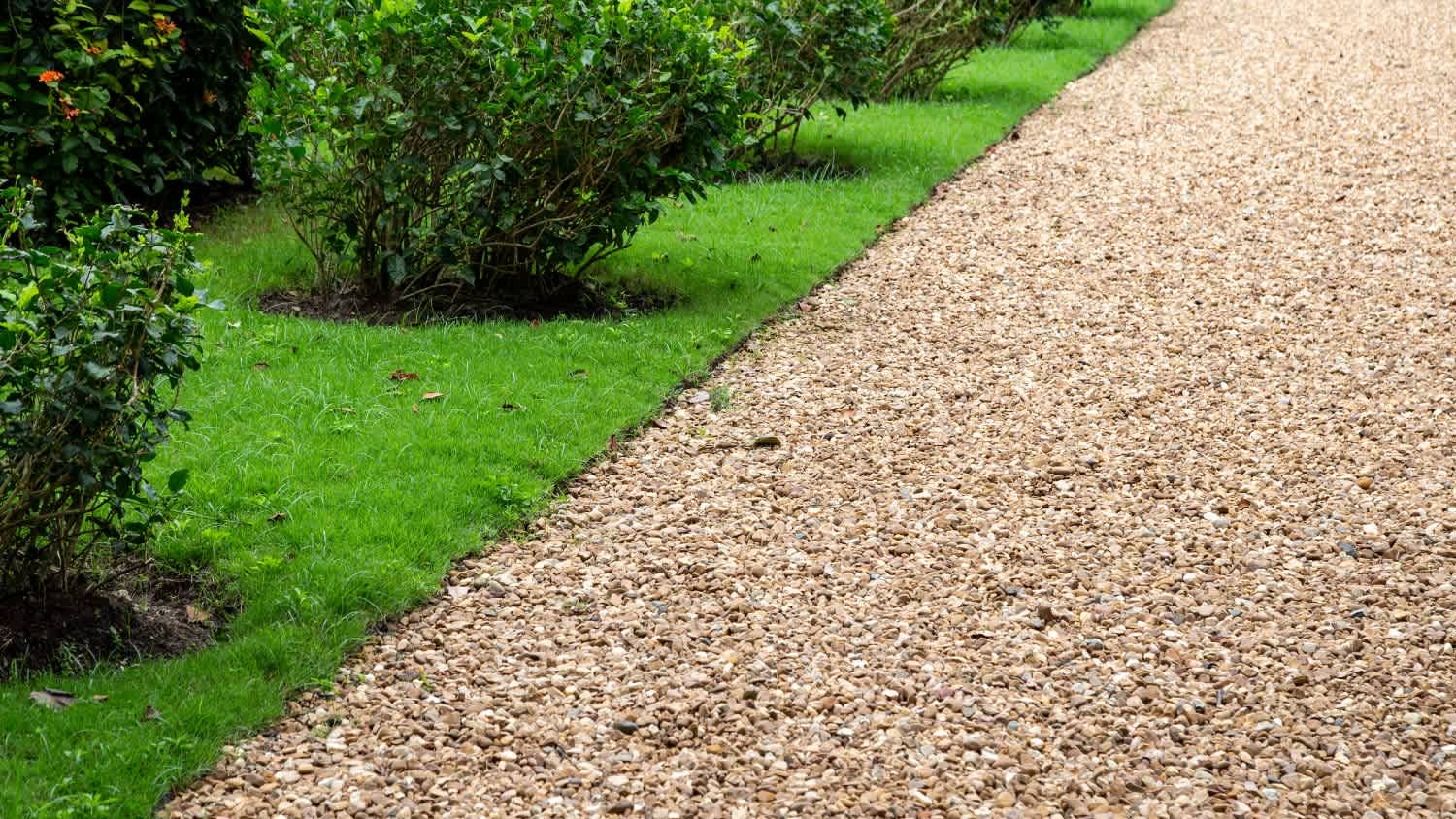 Stone path way with plants