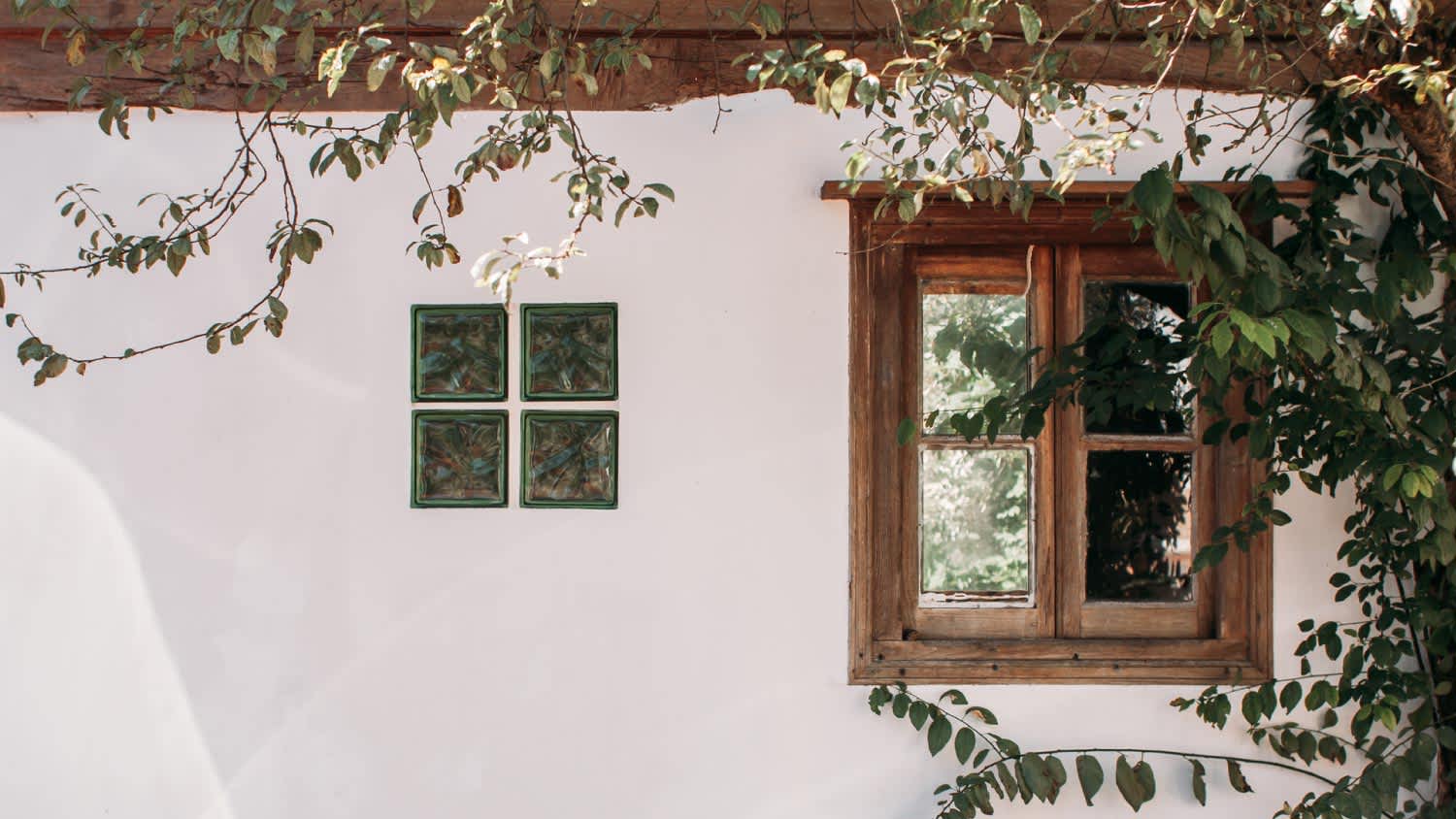 A white house with window and some plants