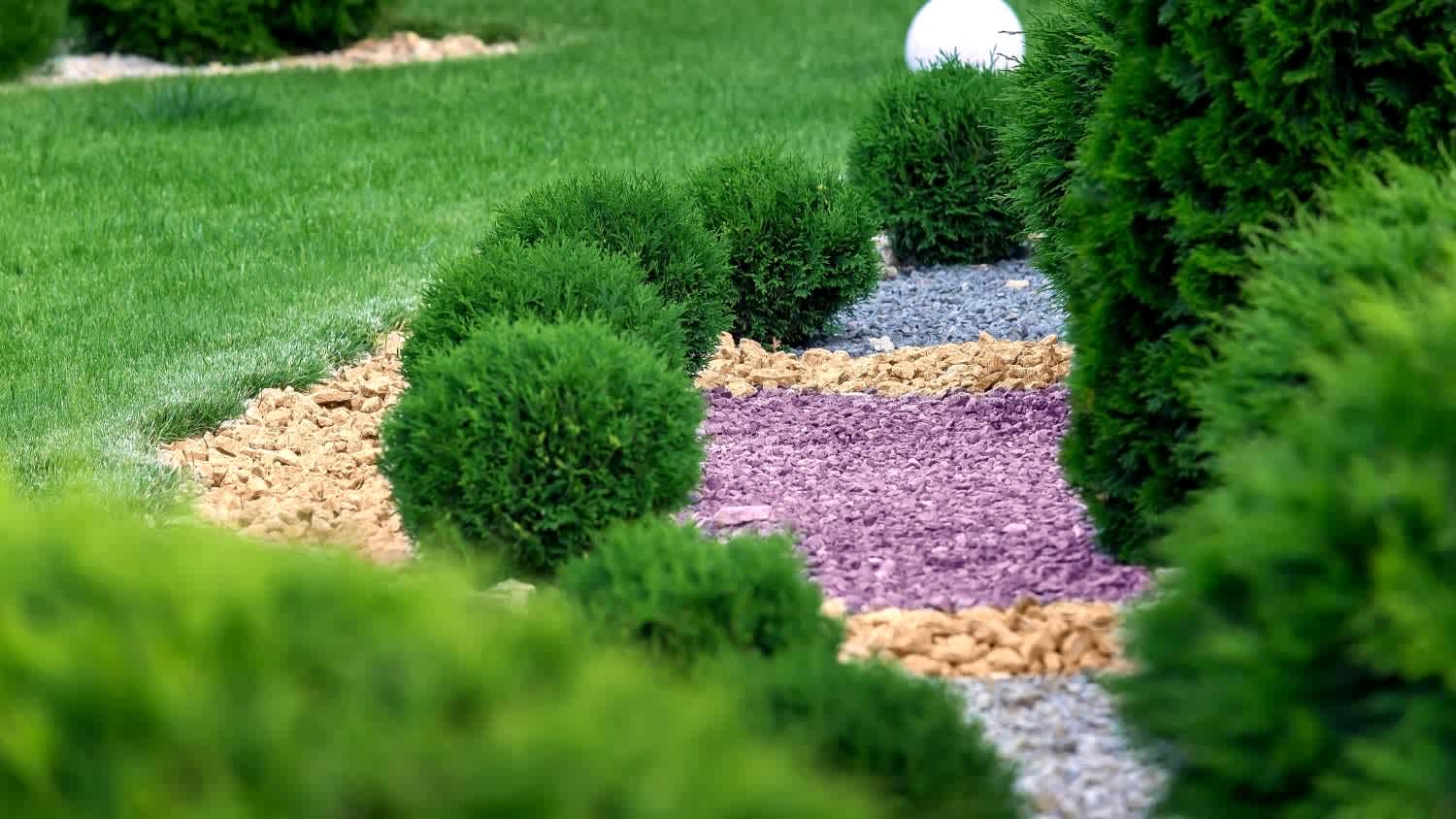 A landscape bed of garden
