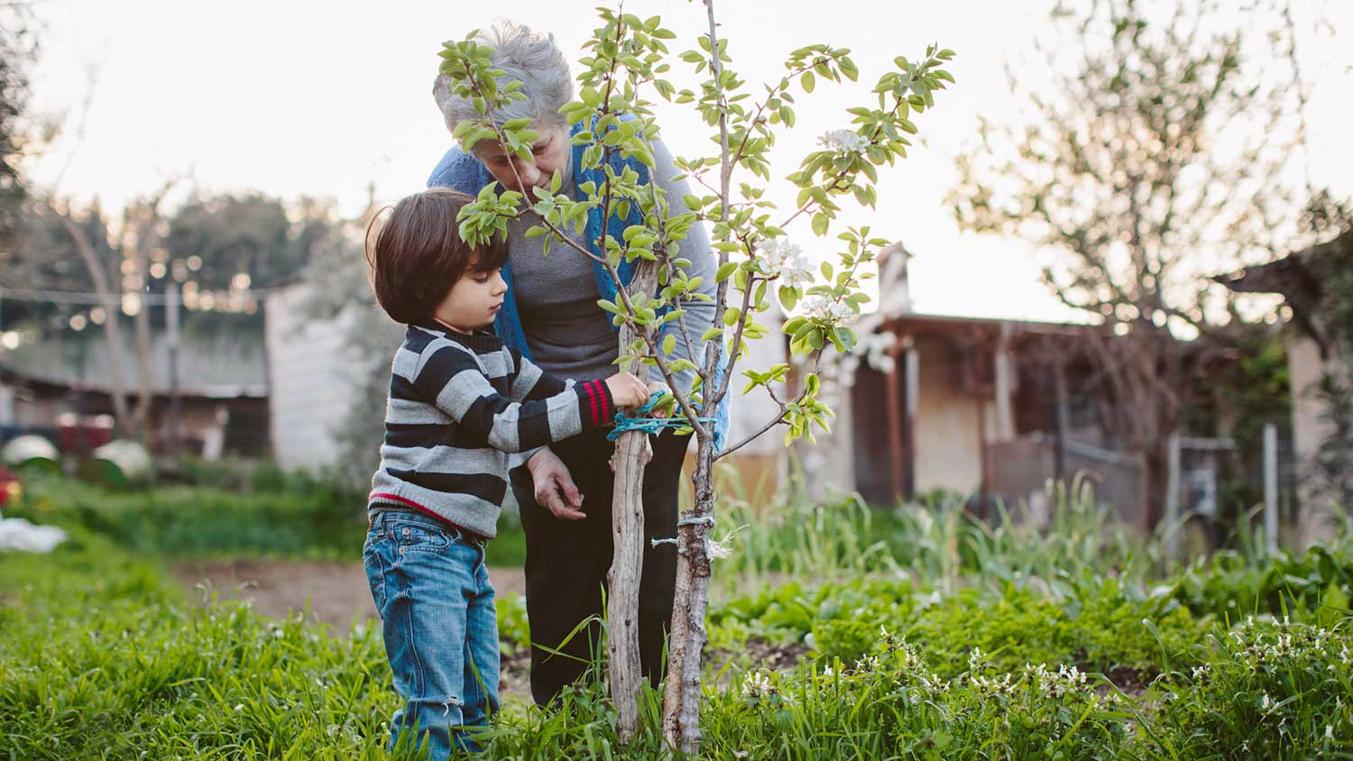 Grandson helping grandma gardening