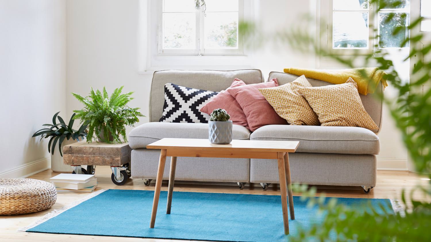 A bright modern living room with a blue carpet
