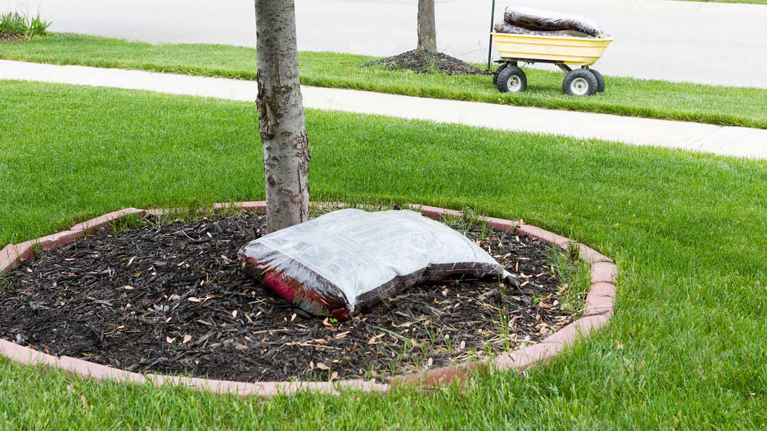 A bag of mulch lying next to a tree trunk