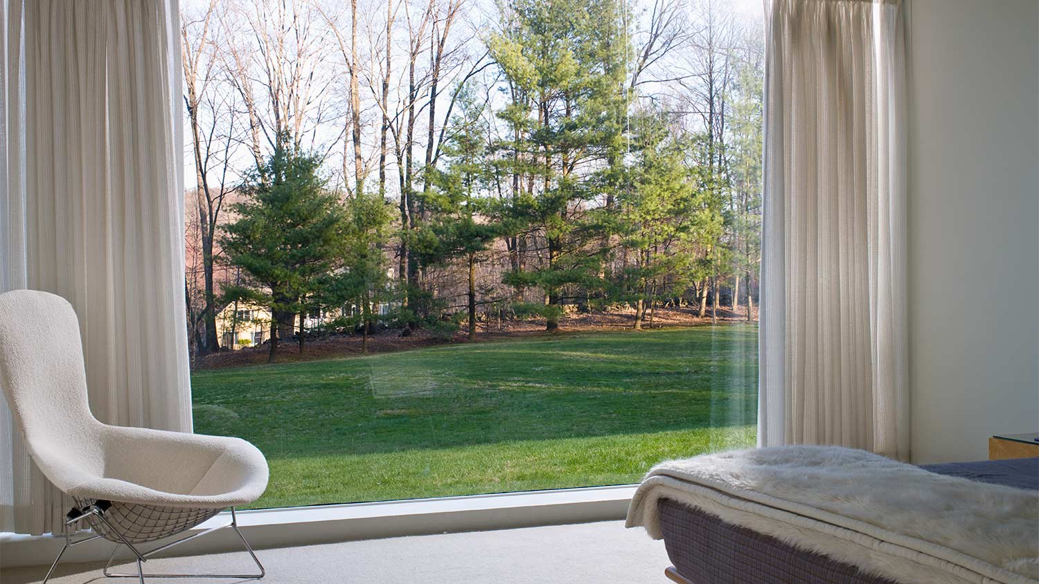 Picture window looking at yard
