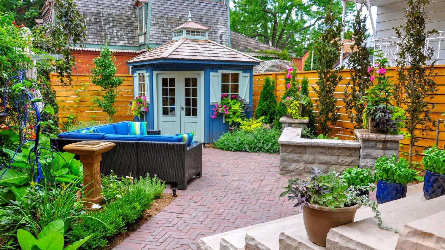 A small urban backyard garden