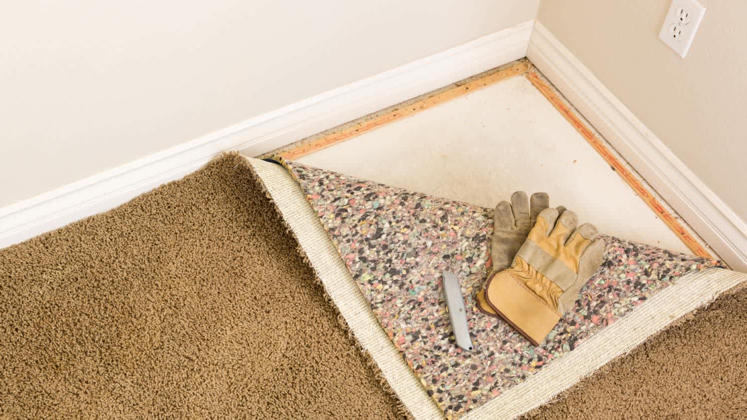 Construction gloves and carpet