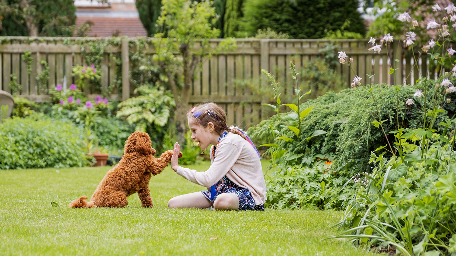 girl playing with dog in the backyard