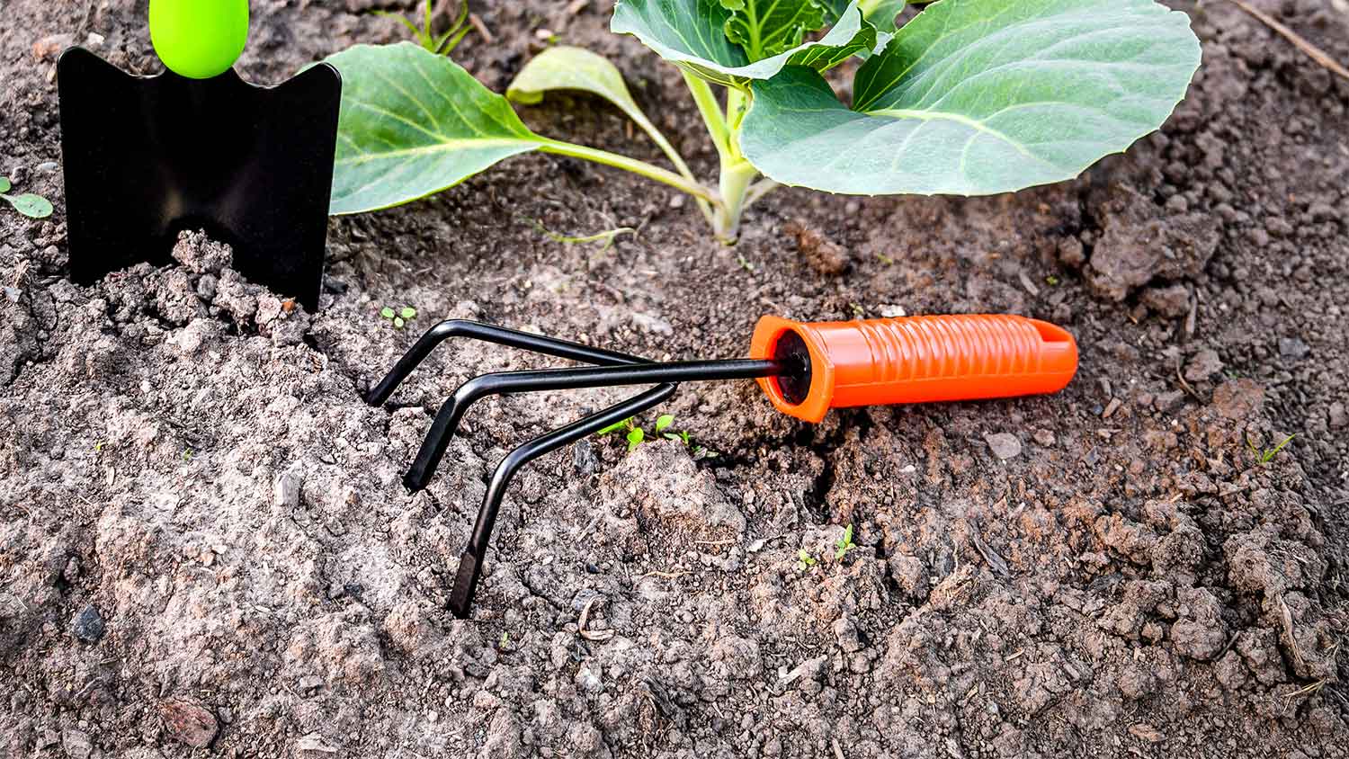 A hand rake