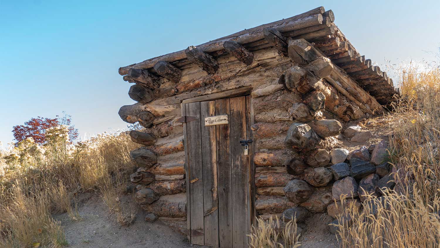 A view of a wooden root cellar