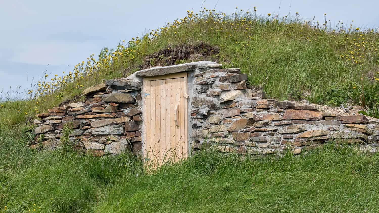 An old root cellar