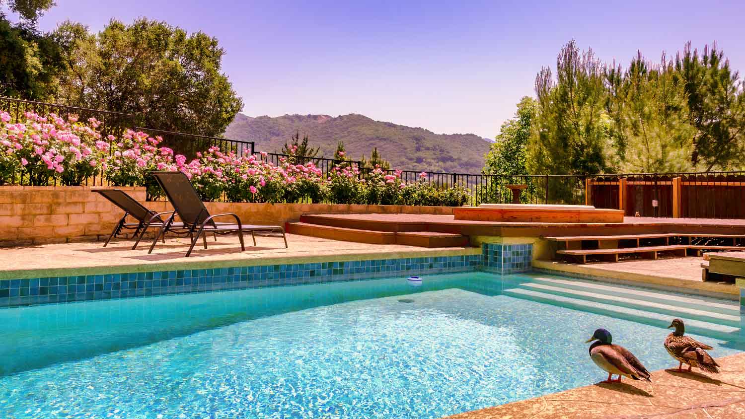 outdoor pool with mountain views