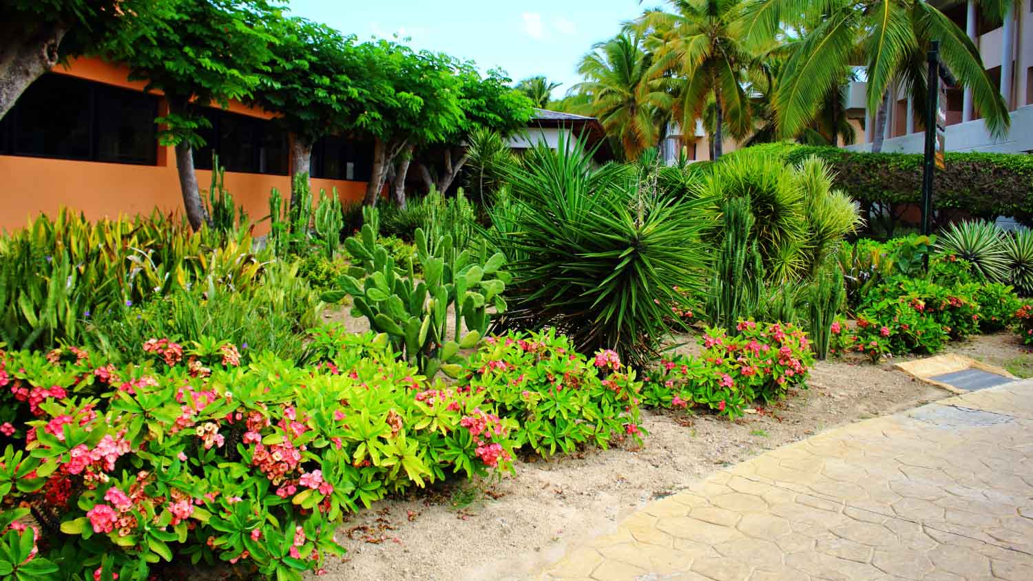 tropical plants and flowers