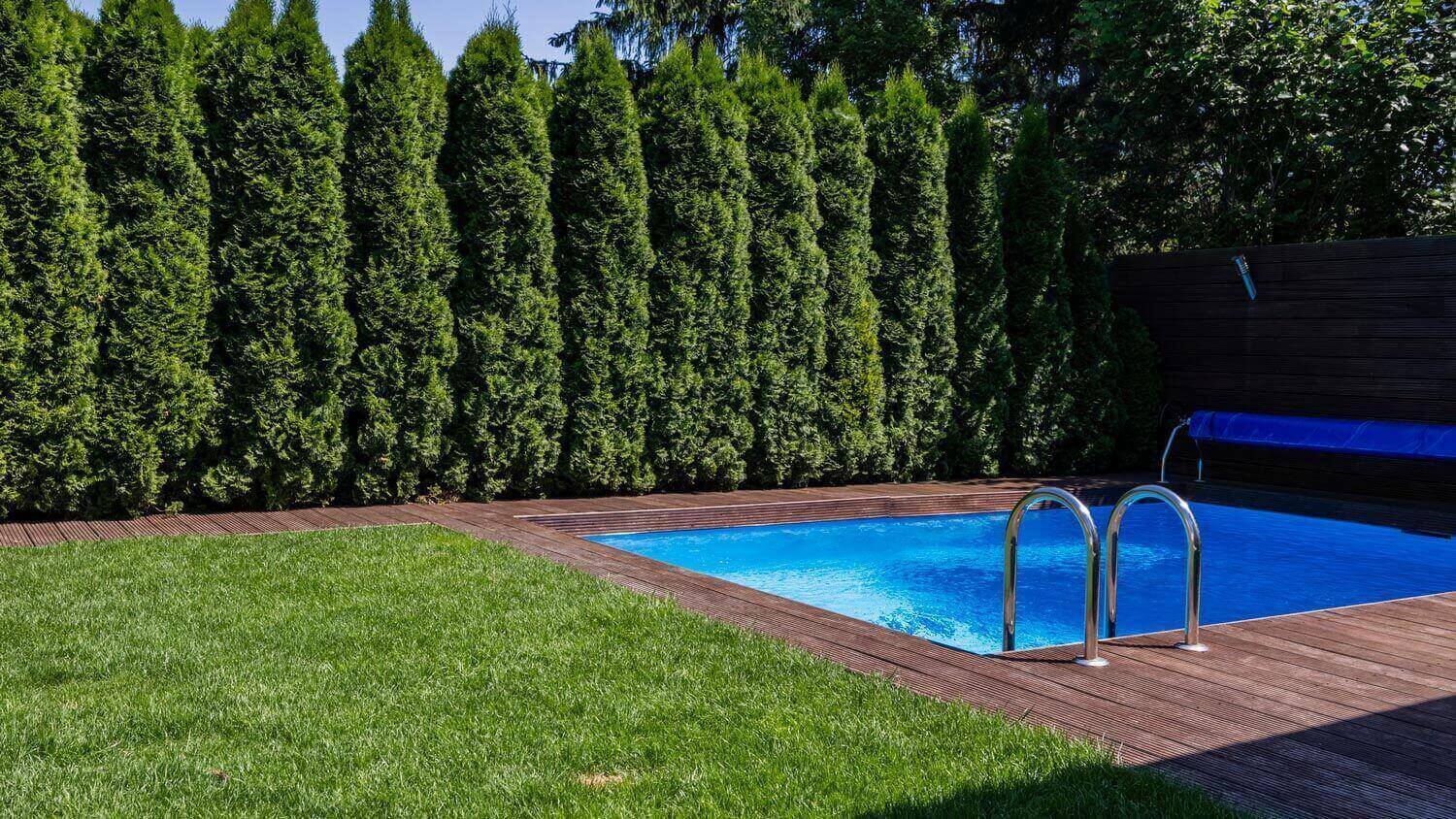 A pool next to green grass and trees in the backyard of a house