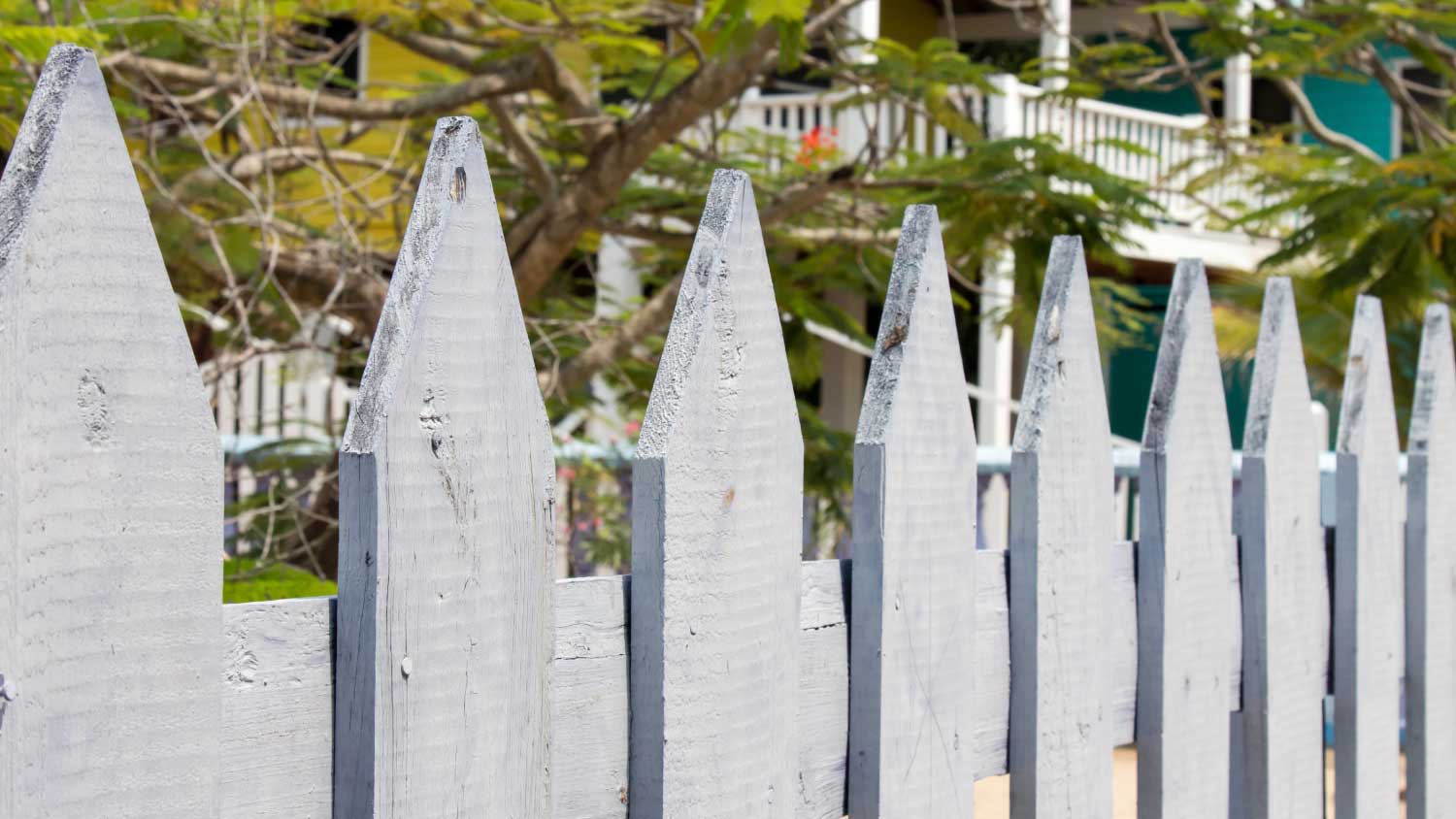 rustic wooden fence