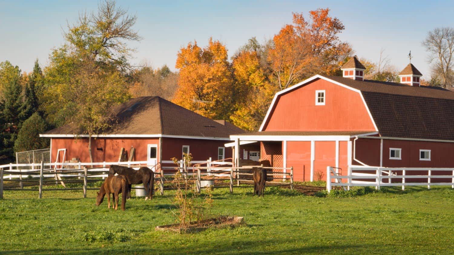 Stable barn and farmhouse in autumn