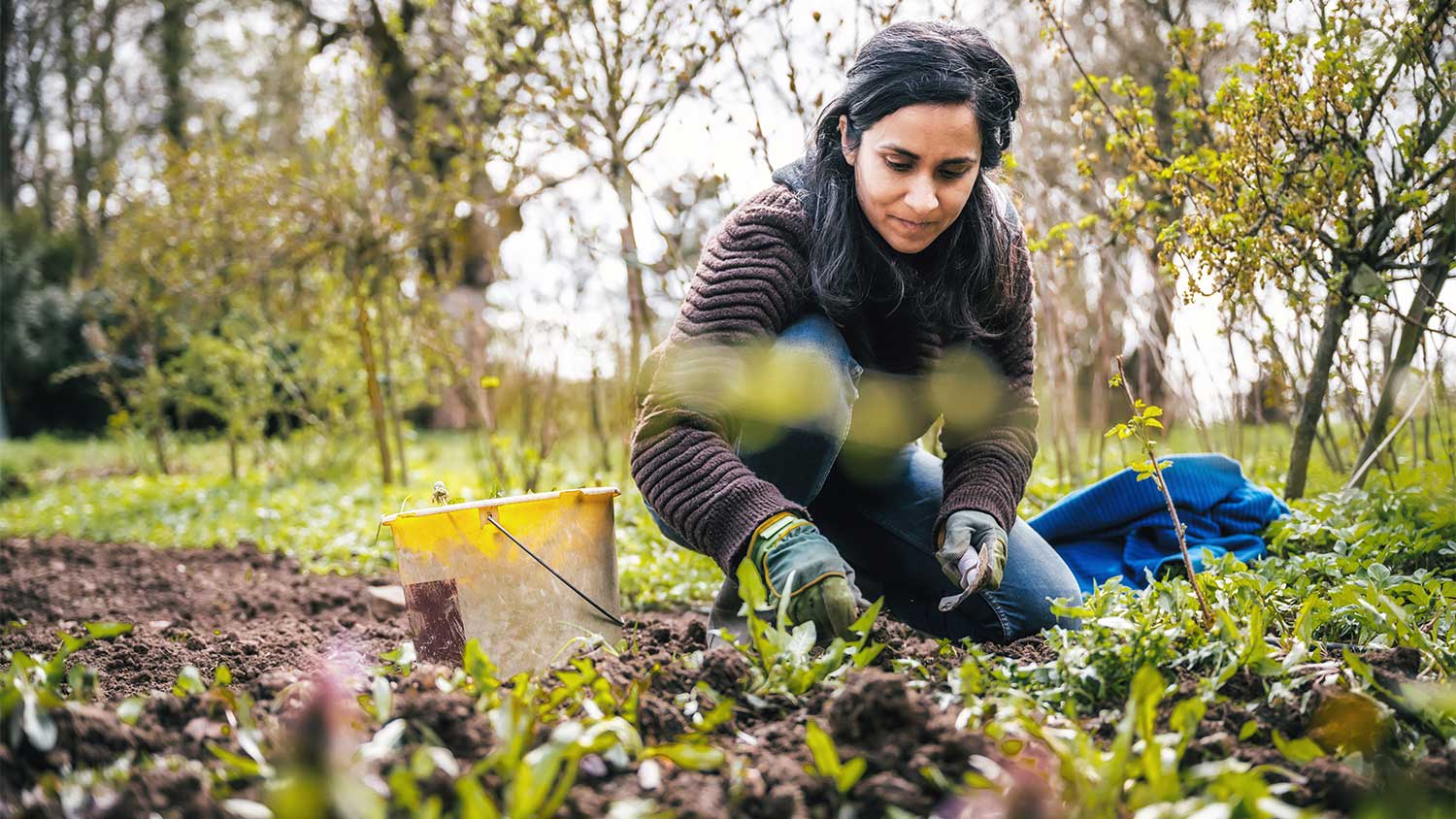 Woman weeding garden