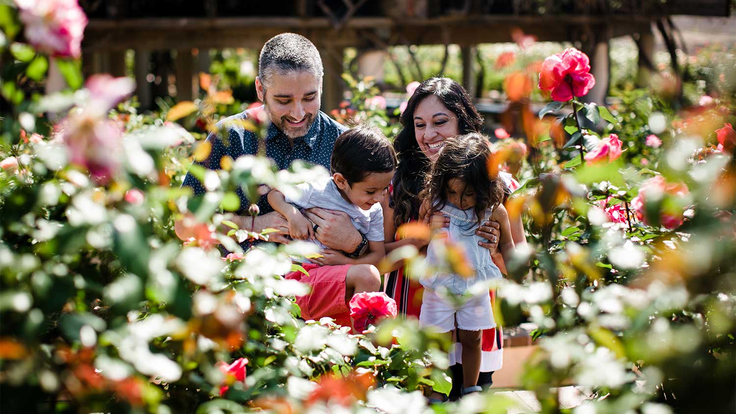 A family in a rose garden