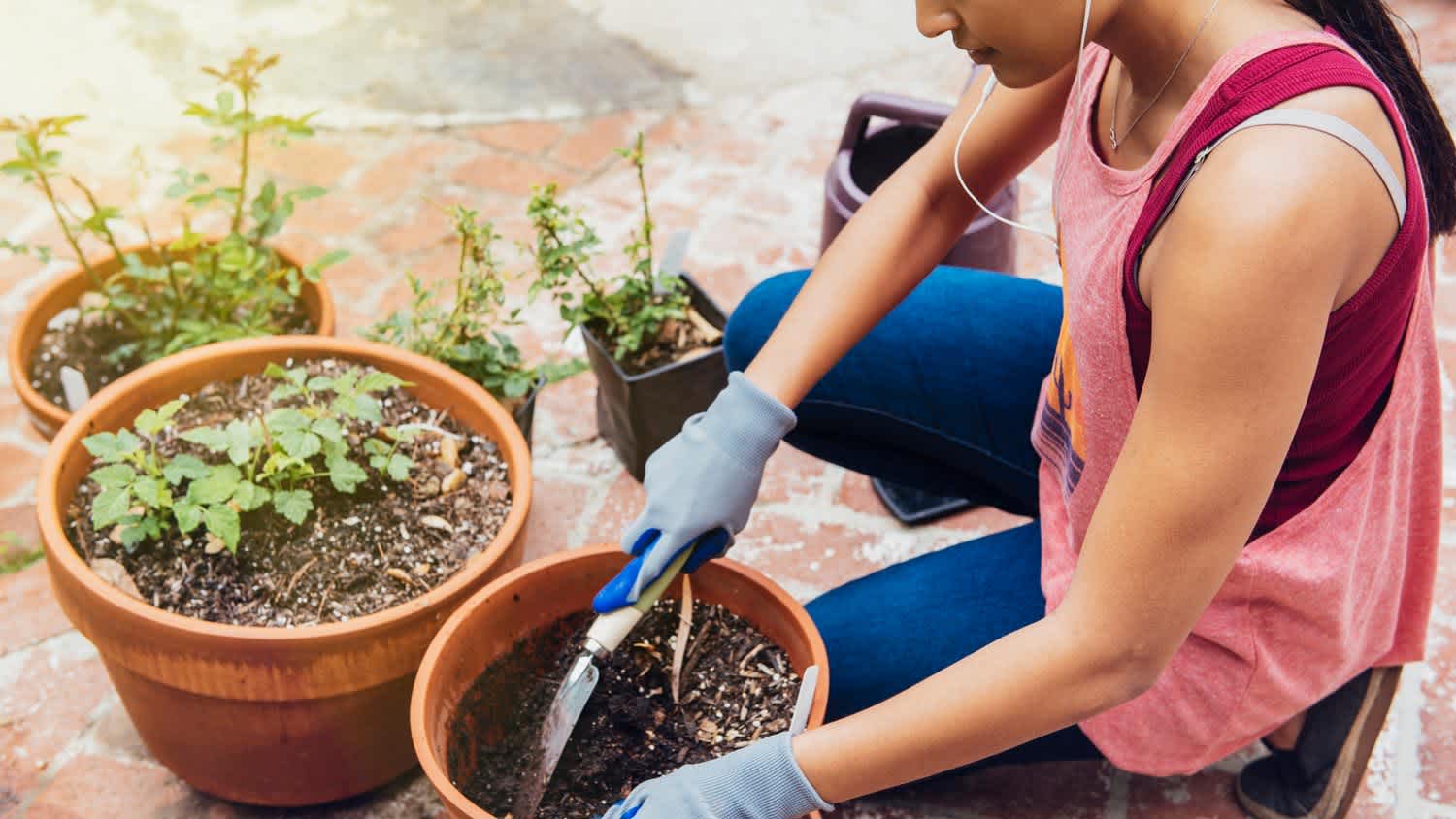 A woman listening to music while gardening
