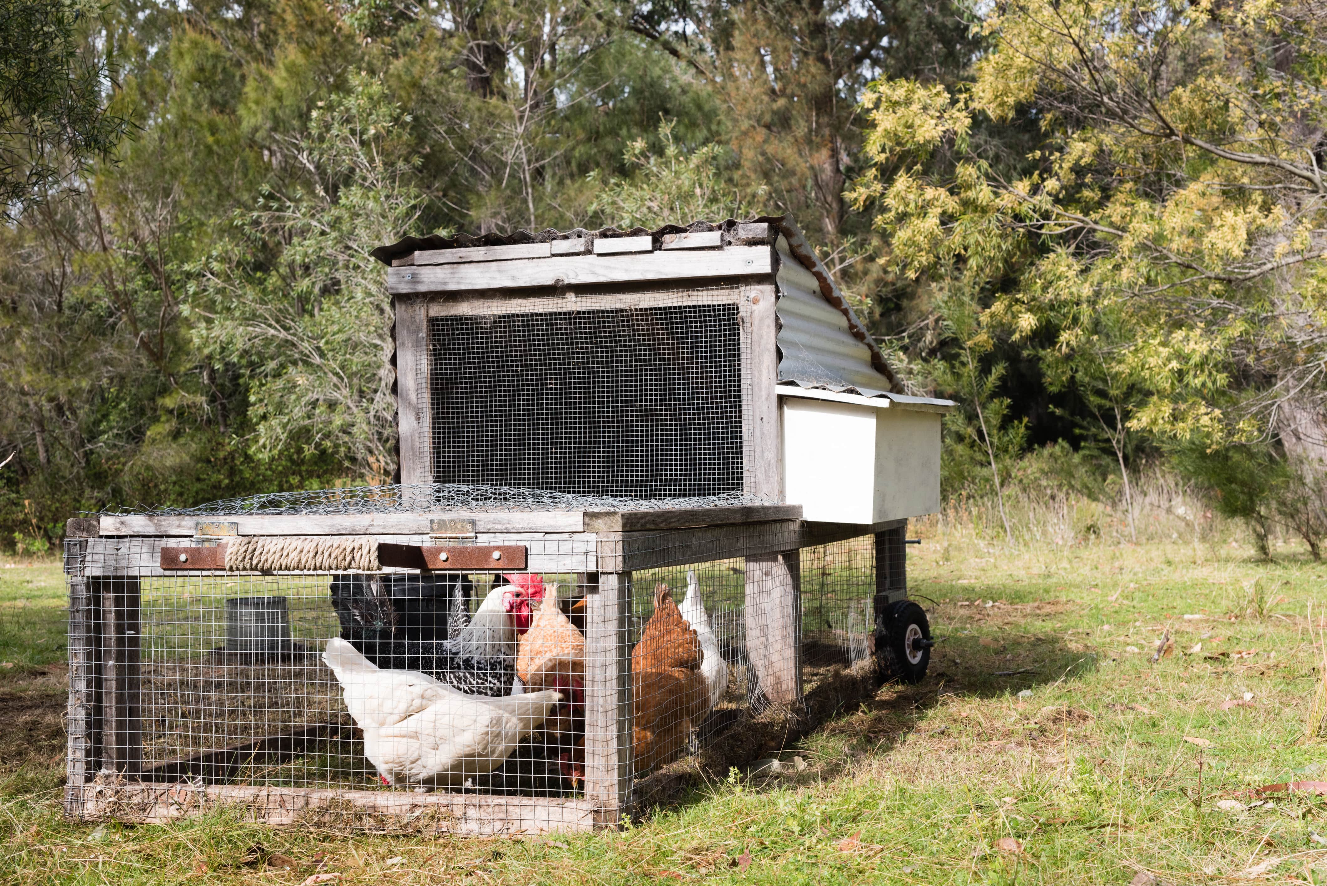 An old-looking chicken coop on wheels