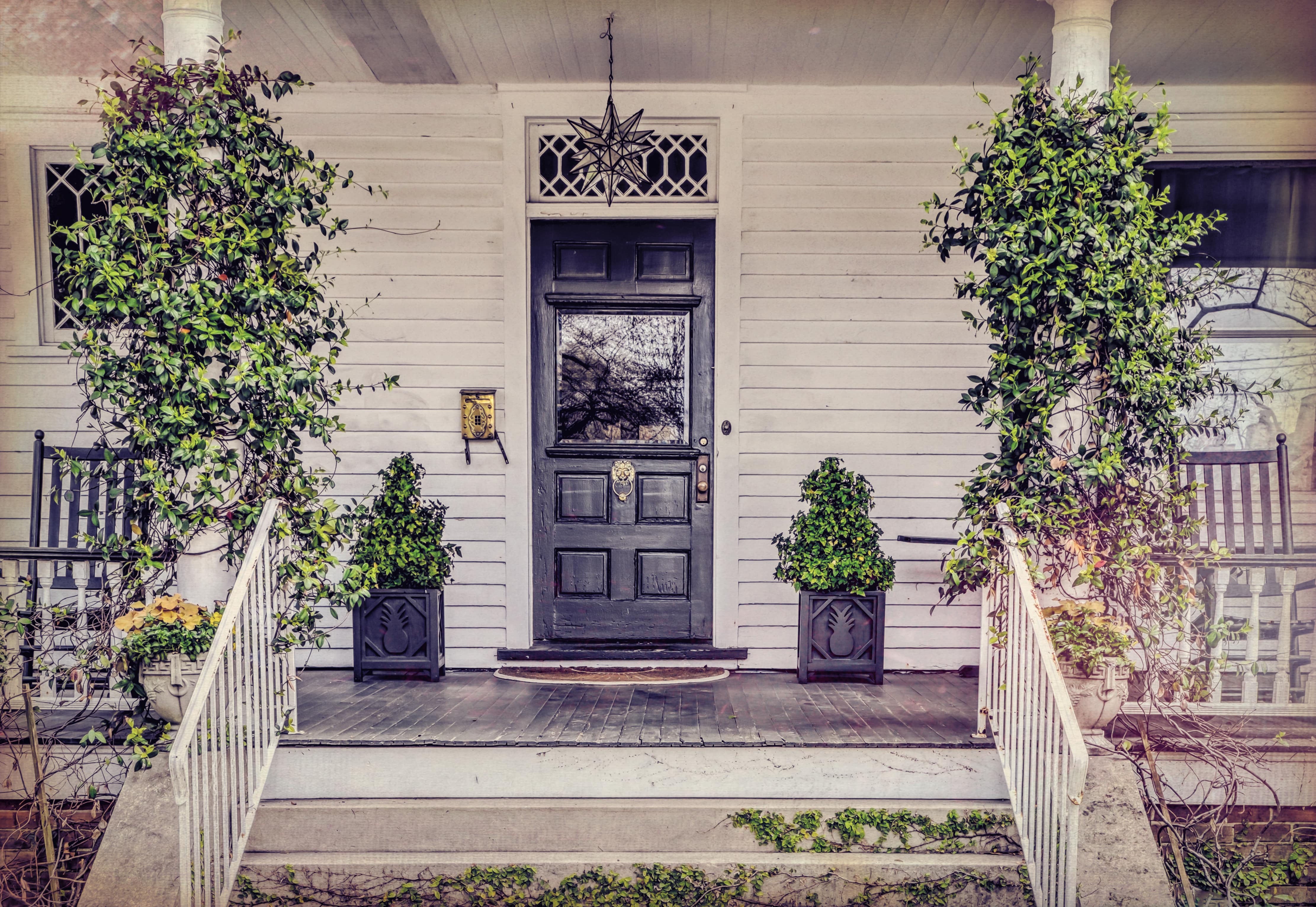 Climbing greenery on beams of porch