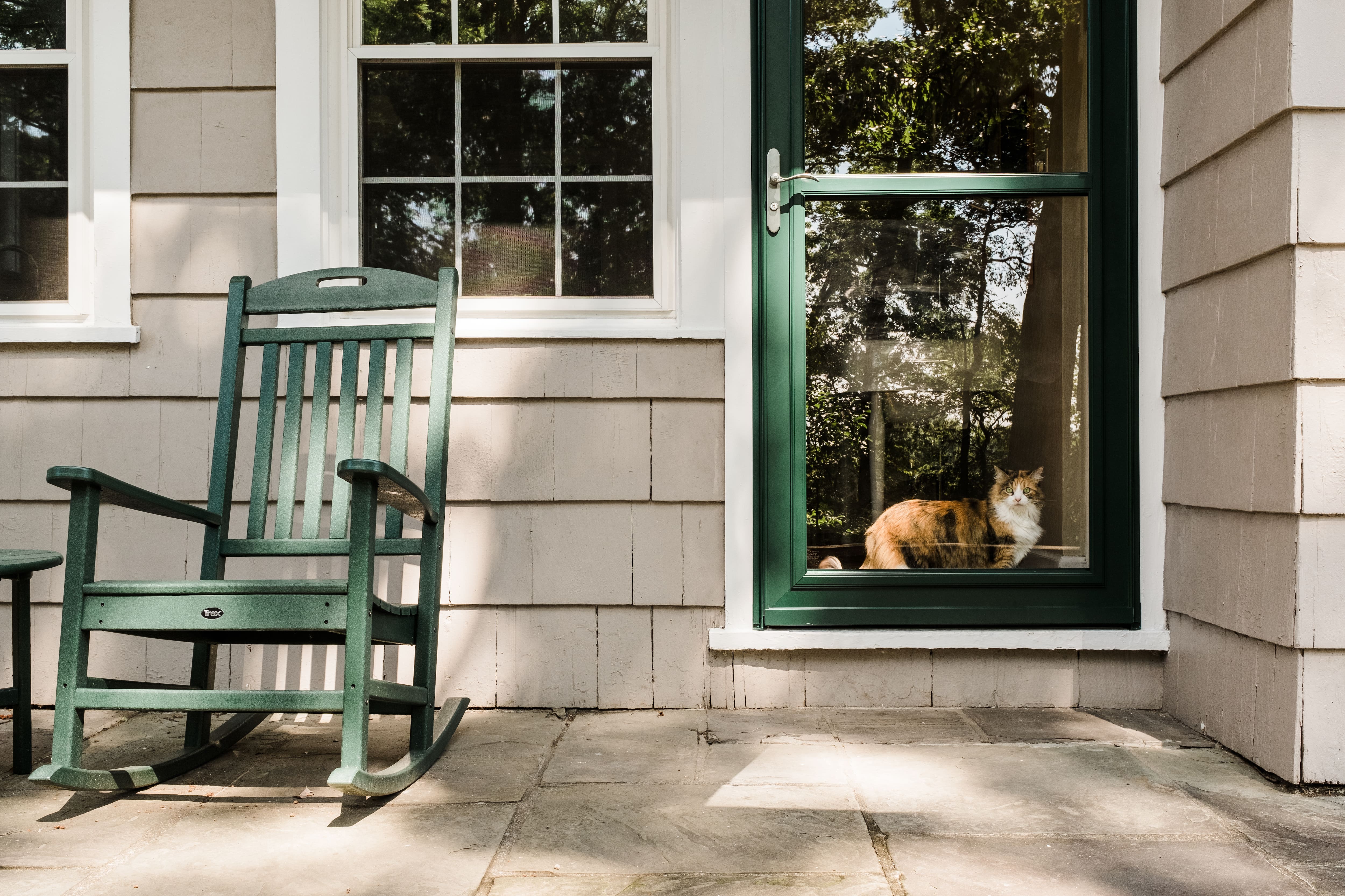 Green wooden rocker with cat looking out front storm door