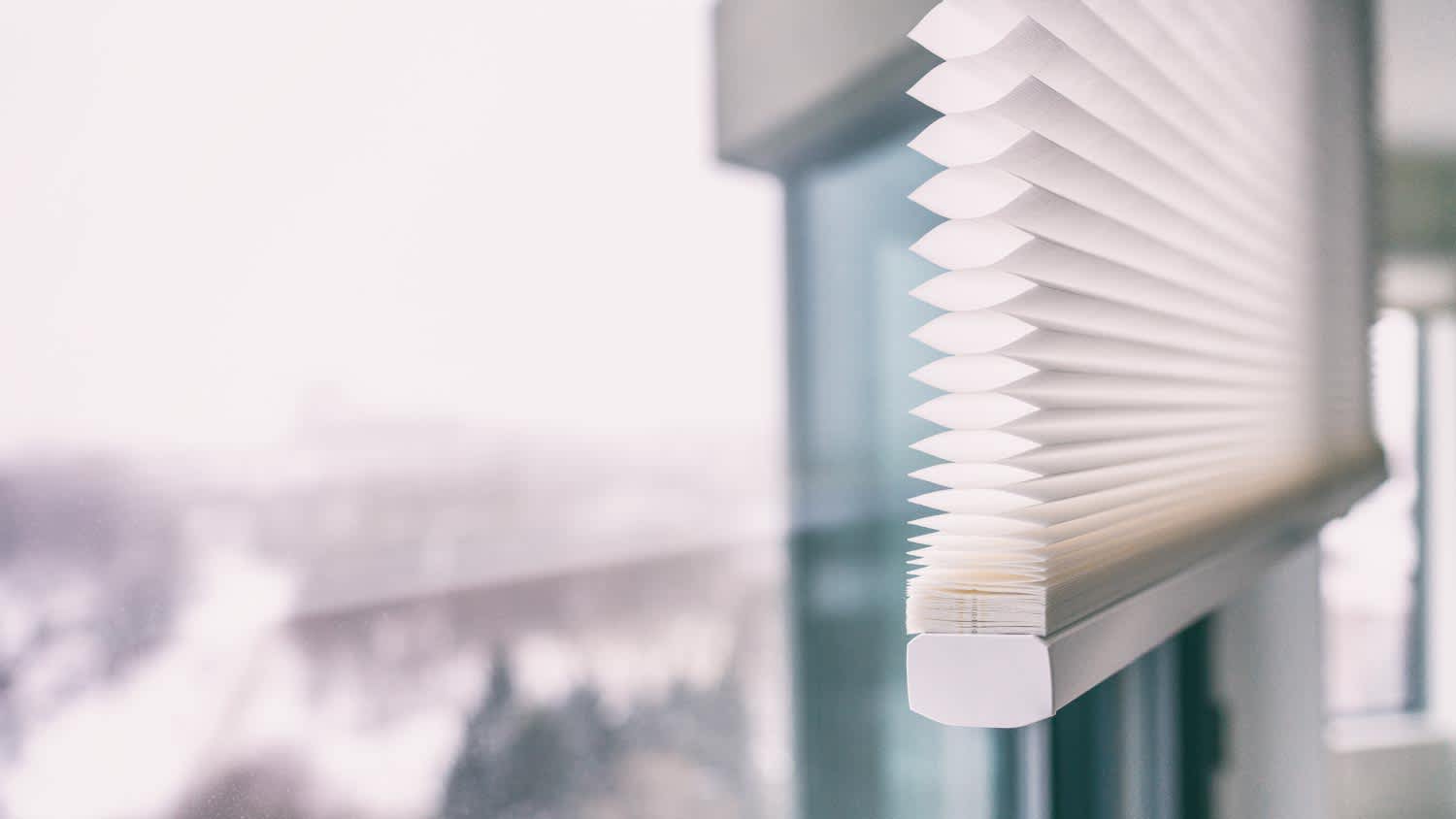 Modern shades on apartment windows