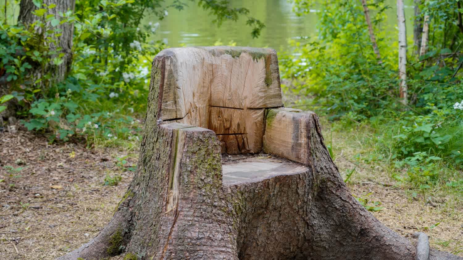 A chair made of a tree trunk