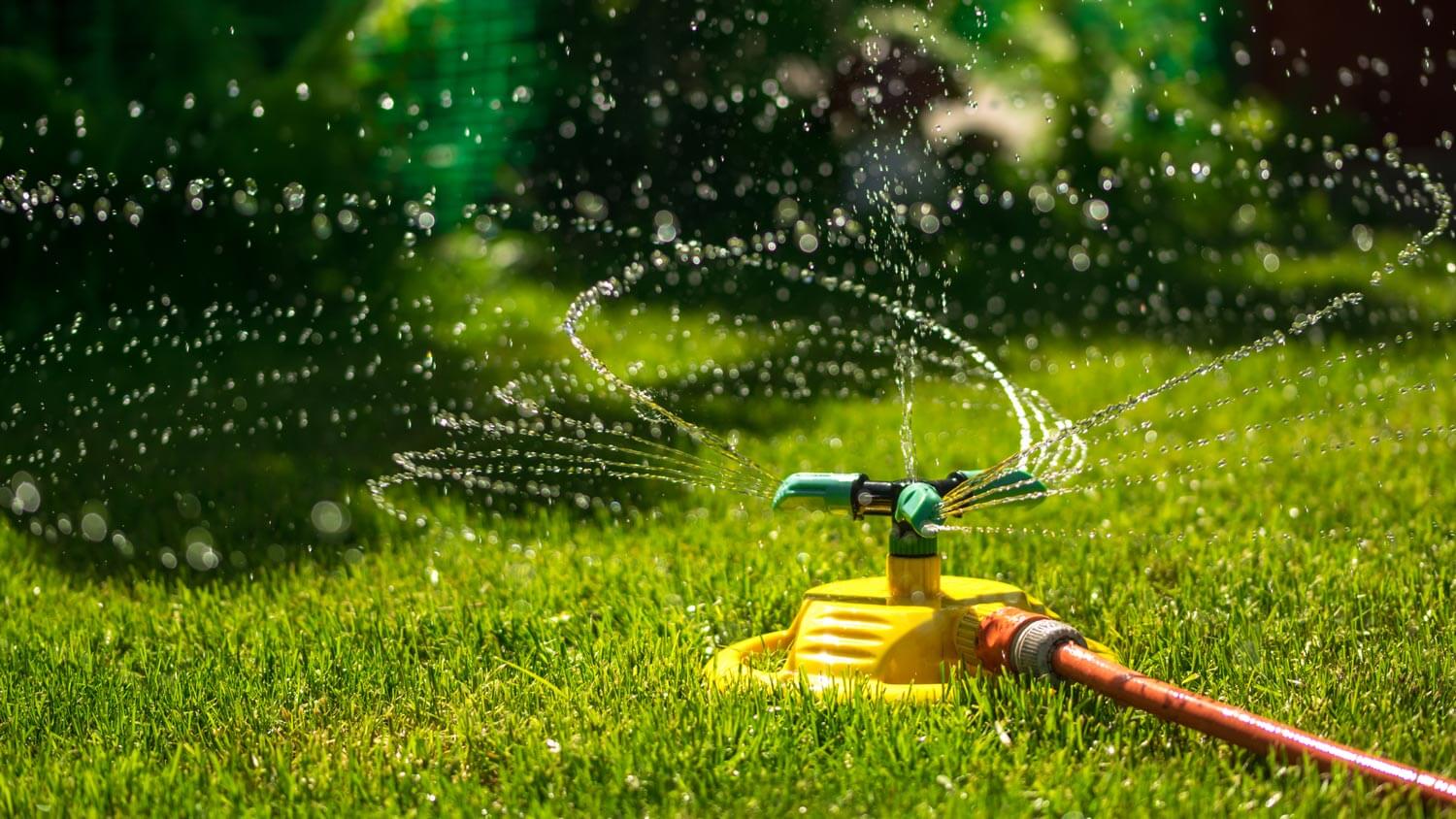 Close-up of a sprayer watering the lawn