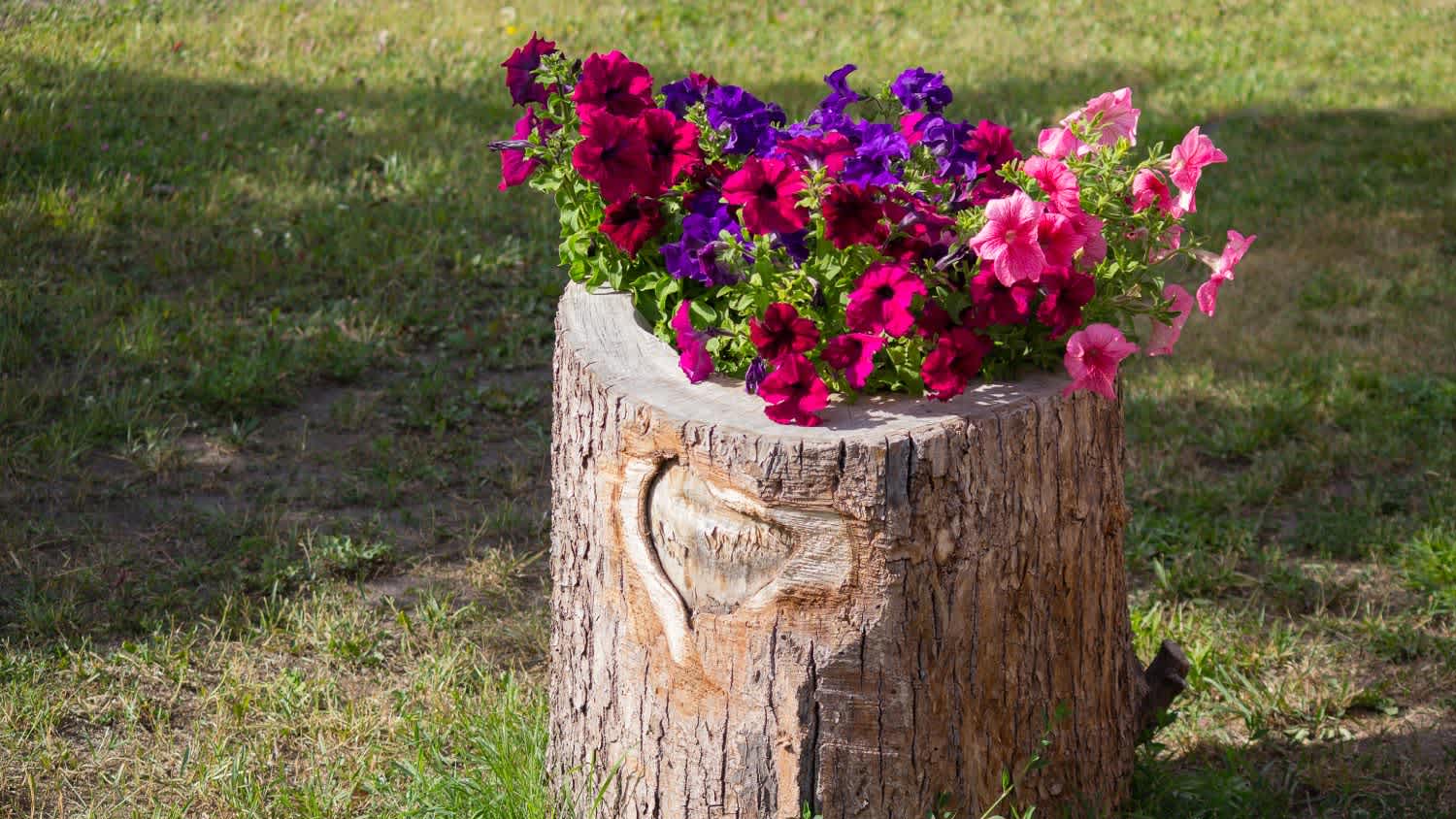 Flower bed in the form of an old stump