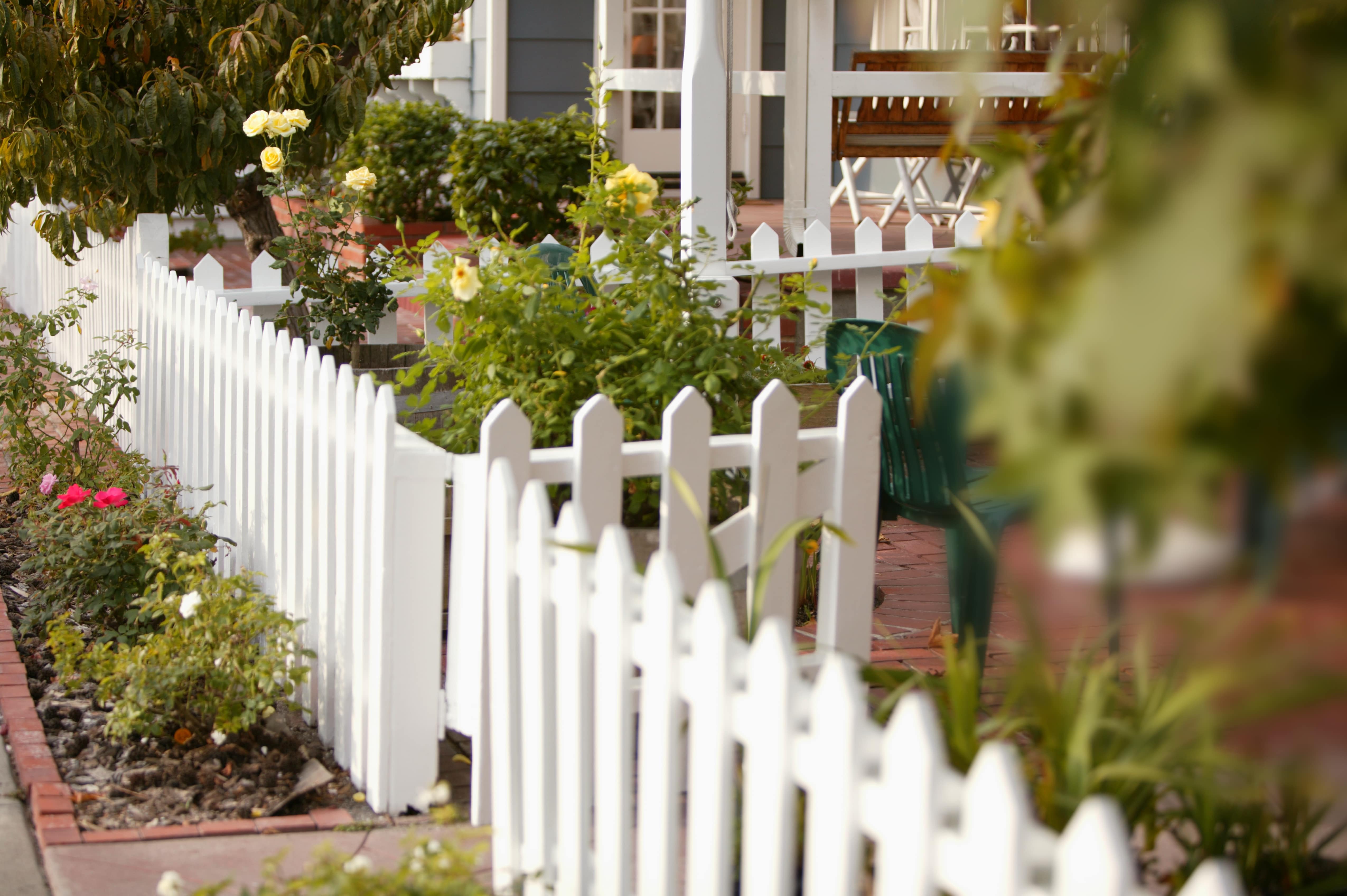 A bright white picket fence surrounded by flowers and plants