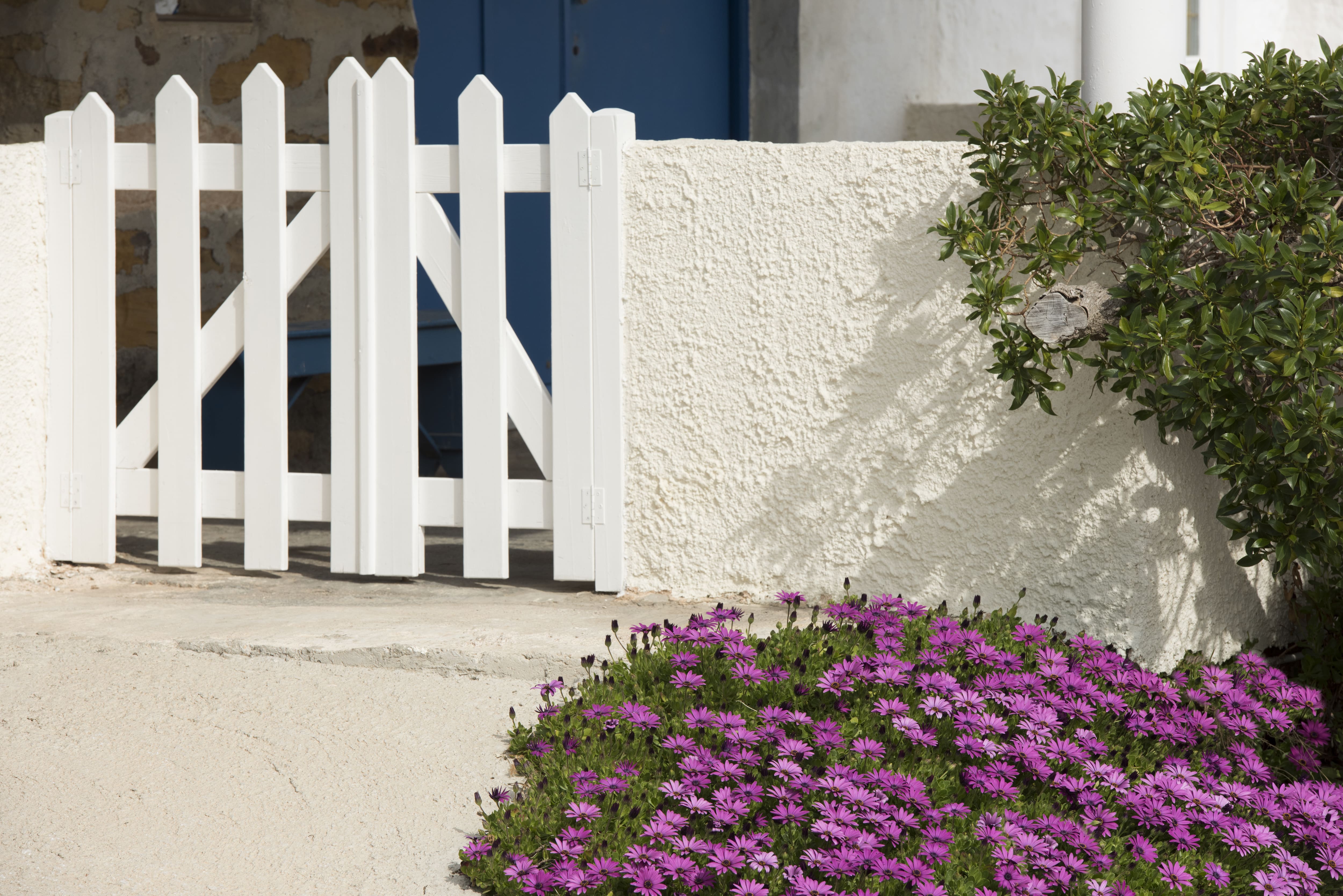 A thick stucco concrete fence with a wooden gate and fresh flowers growing in front of it